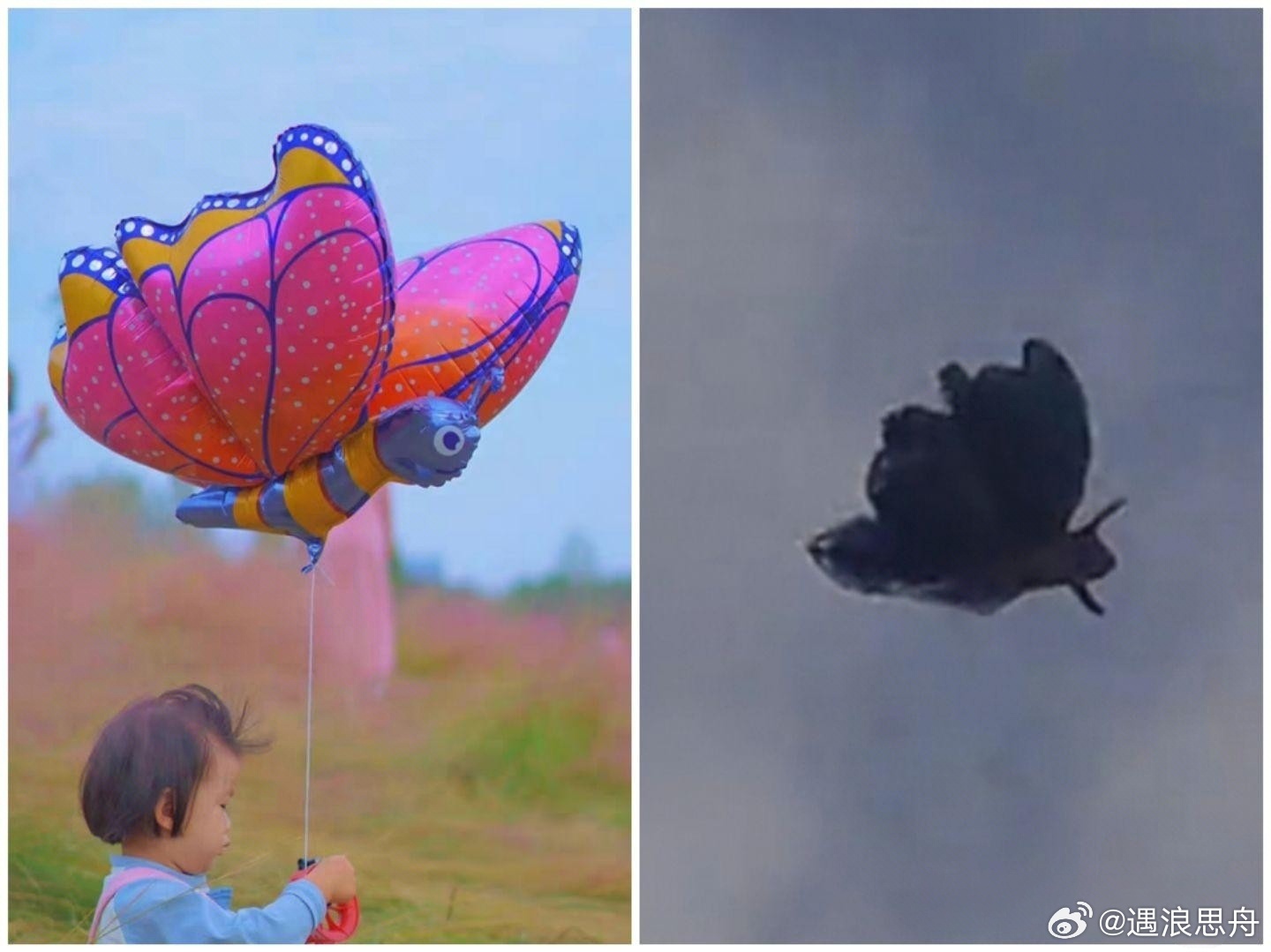 包头禁飞区现蝴蝶状飞行物破案了[doge] ​​​