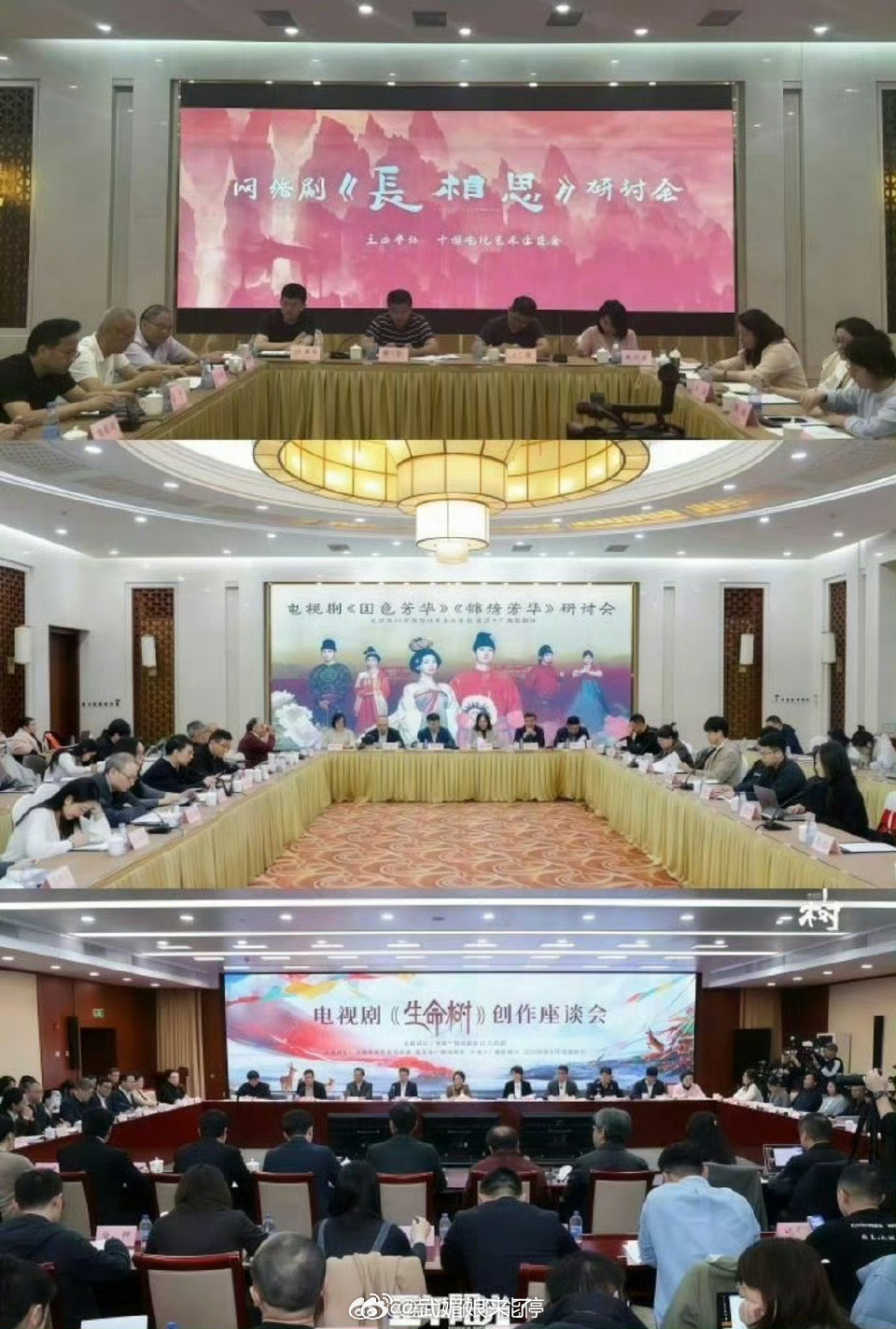 杨紫主演的《长相思》 《国色芳华》 《生命树》都开了研讨会，扛剧花的实力👍 