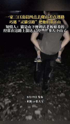 “太有灵性了！”凌晨四点一家三口去爬山，在山上迷路了，这时一家人有点慌，正忐忑时