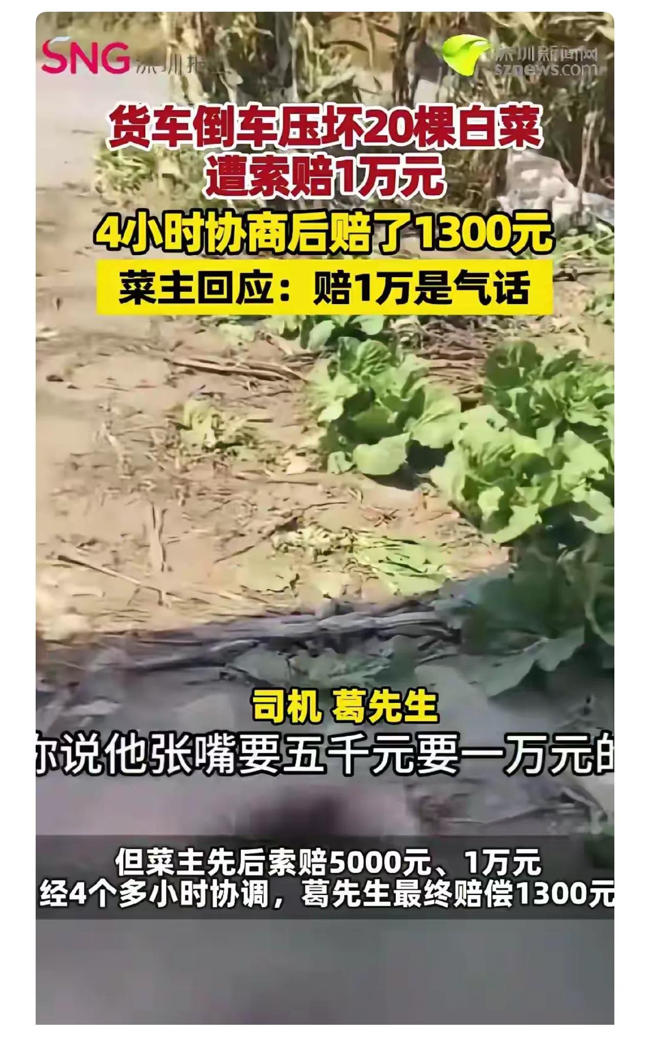 货车倒车压坏20棵白菜起初要5000，后来要1万，双方僵持4个多小时，司机赔13