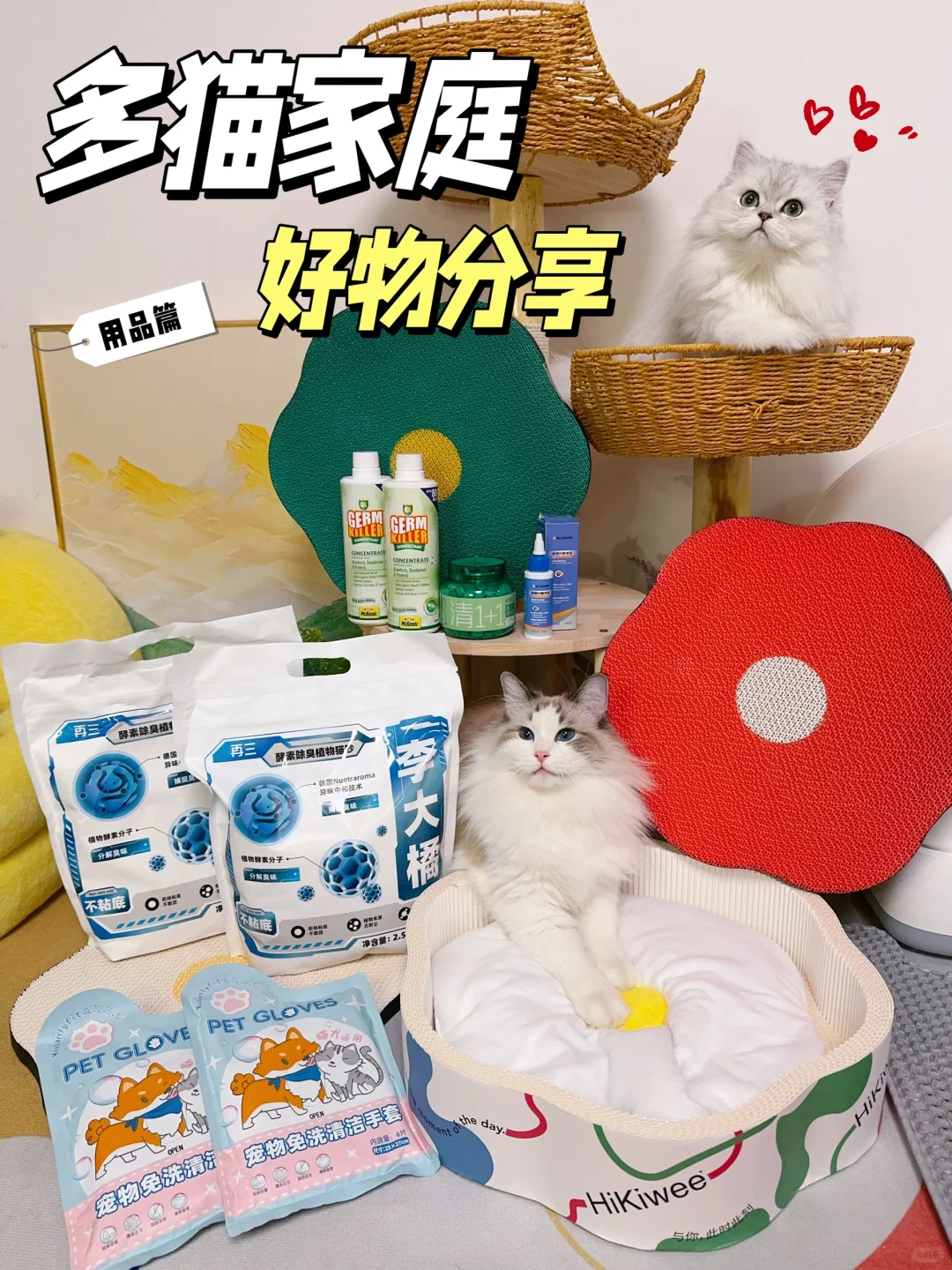 🐱好物篇┊多猫家庭用品分享