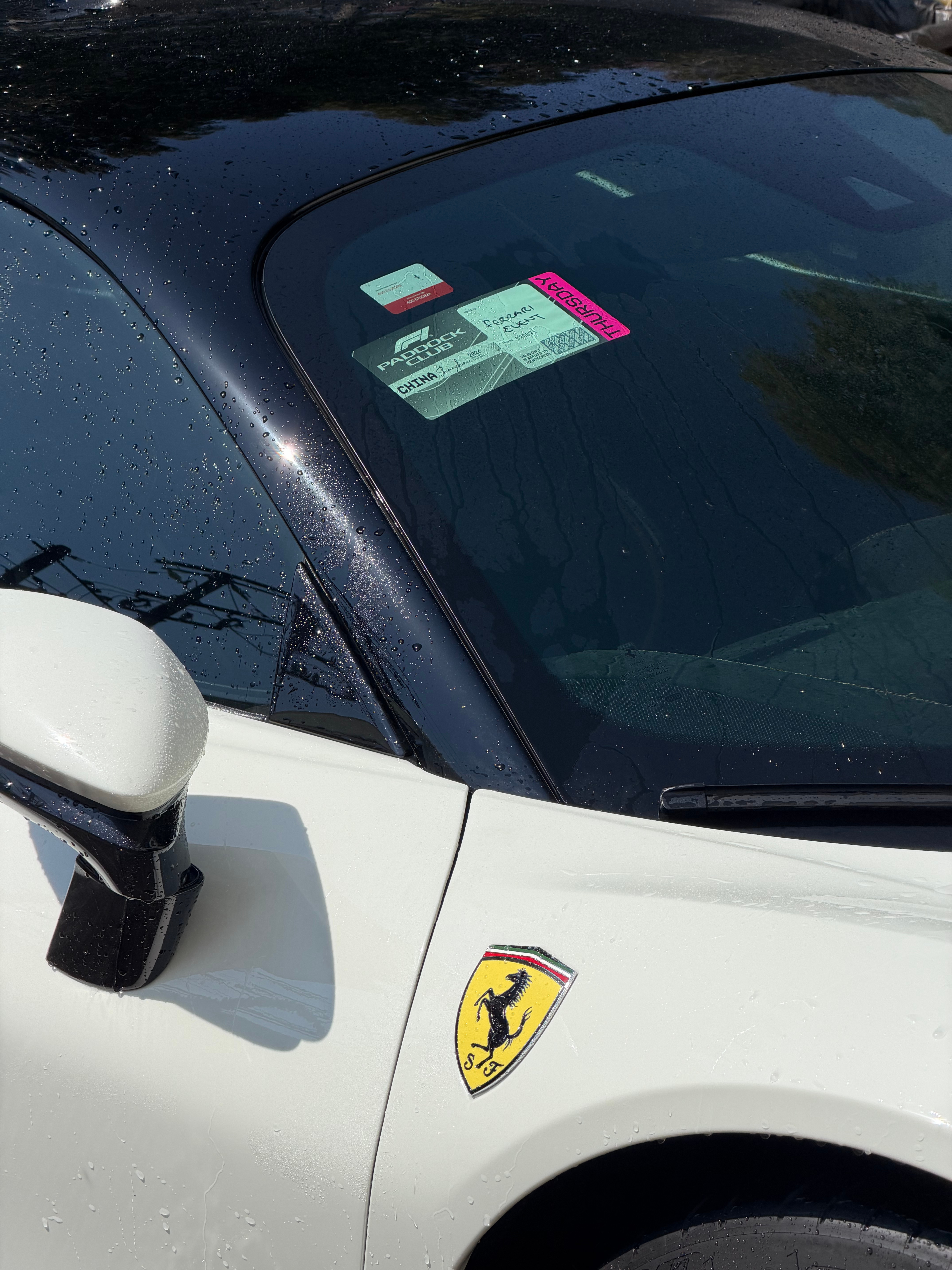 洗车师傅说有人在我车上乱贴小广告，差点给我撕了。