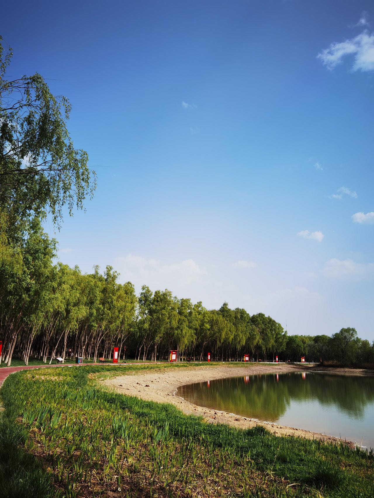 多到湖边走
有树有水系
氧气非常足
保肺保健康