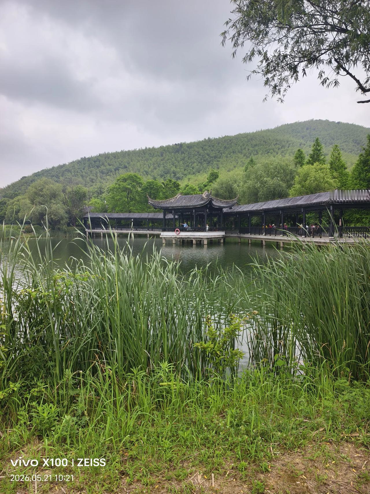 随手拍下初夏美景藏在山水间的初夏秘境，风里都是草木的清香～随手拍下初夏美景
