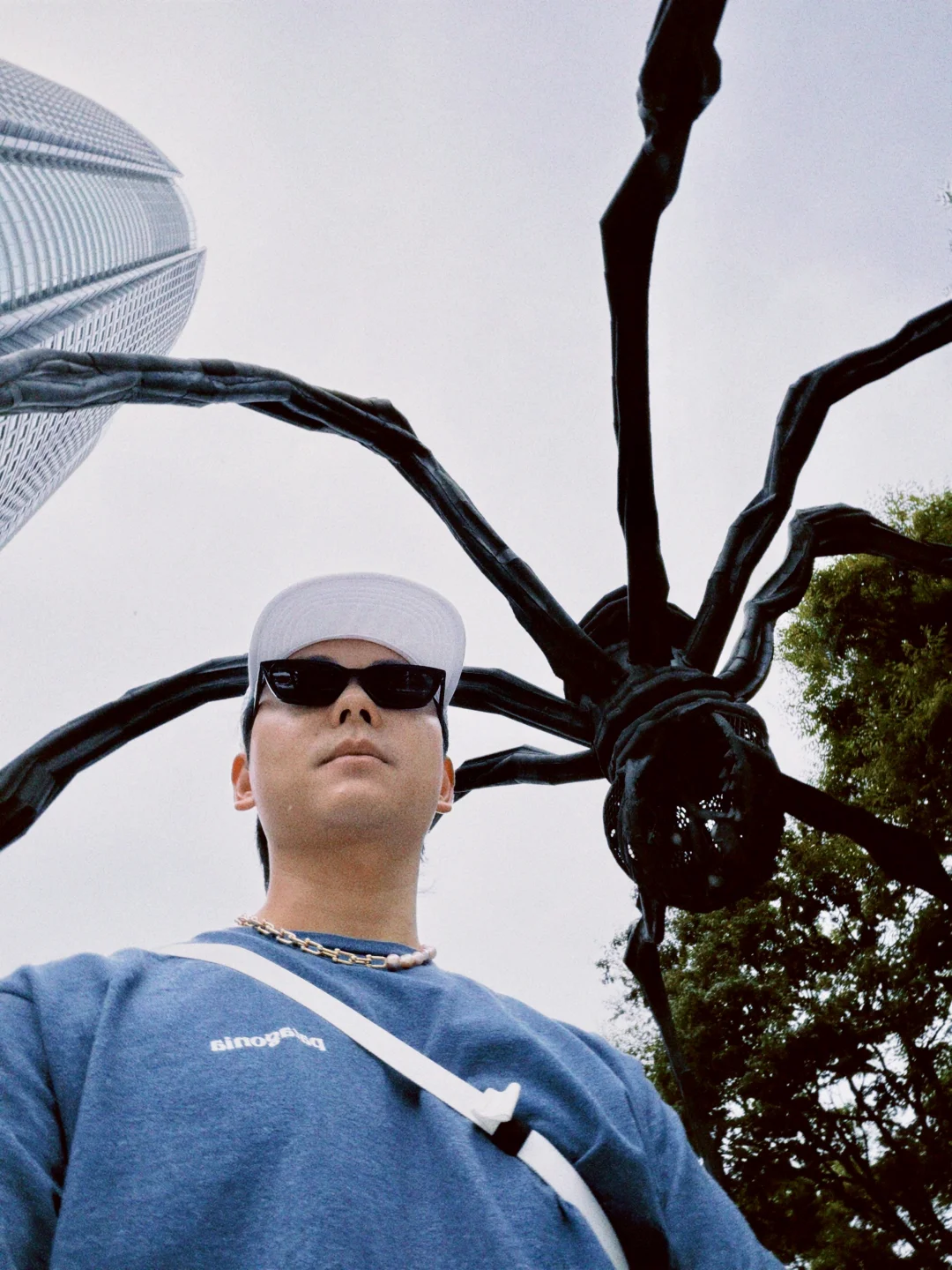 东京的蜘蛛🕷️