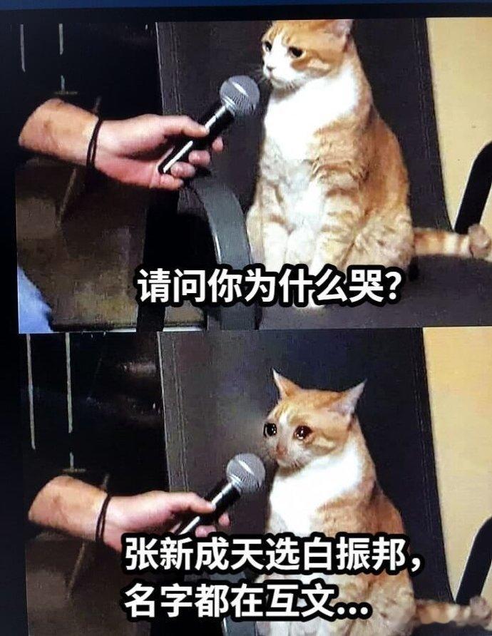 张新成白振邦名字都在互文  当张新成遇上白振邦，名字的互文开启了一场跨越时空的对