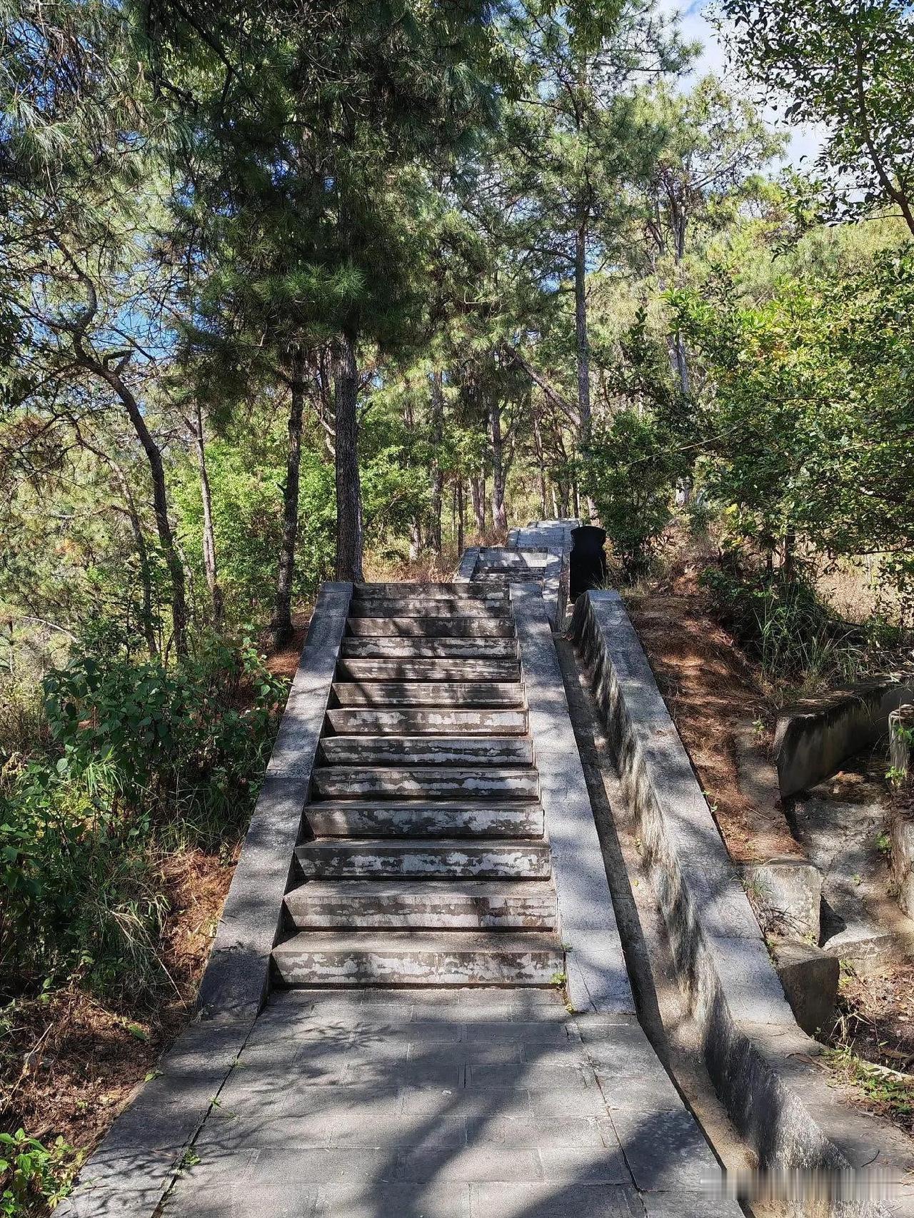 保山太保公园保姆级路线攻略🌿

姐妹们！刚打卡完保山太保公园，整理了一份超详细