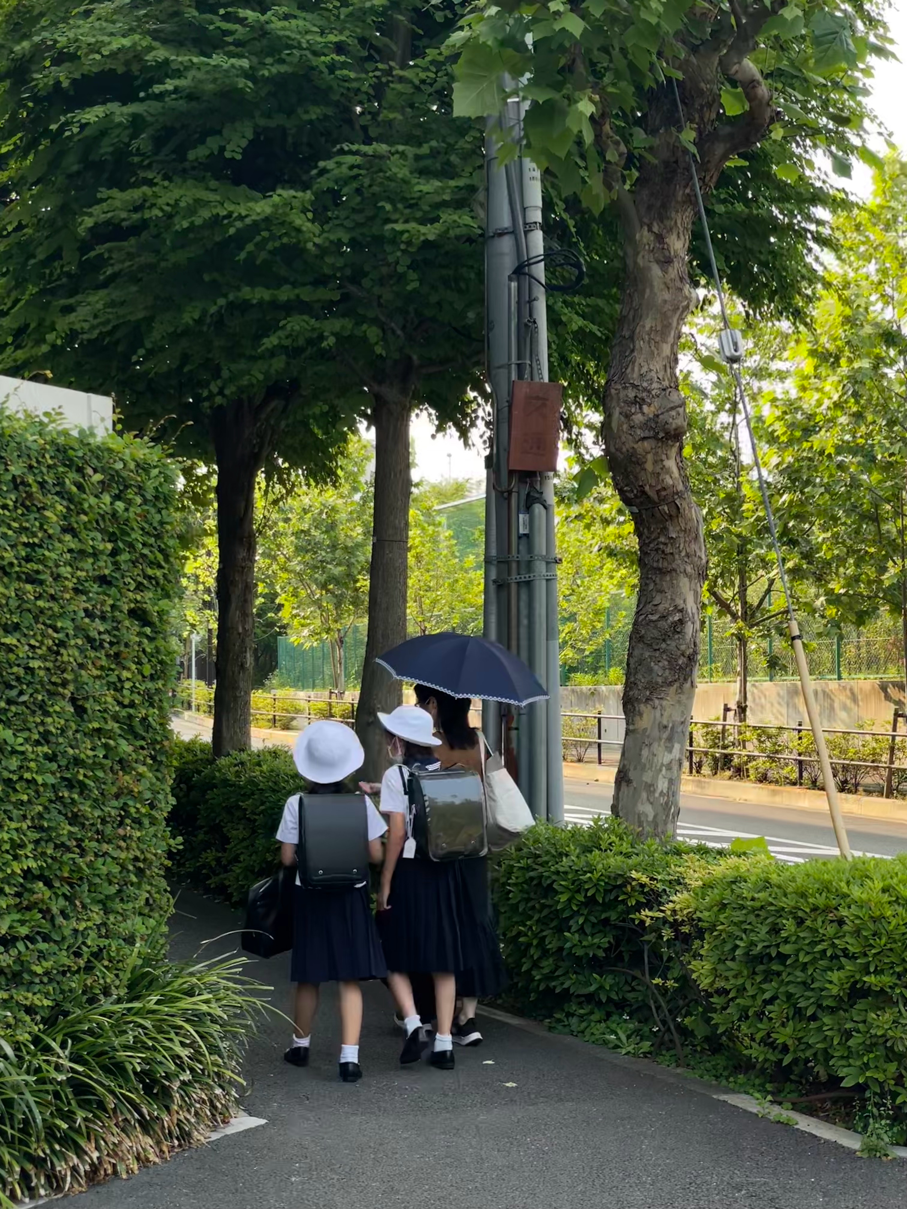 和🥚在四ツ谷散步，嗦了杜鹃花蜜，吃了扭腰披萨，碰巧路过「君の名は」里的楼梯，小