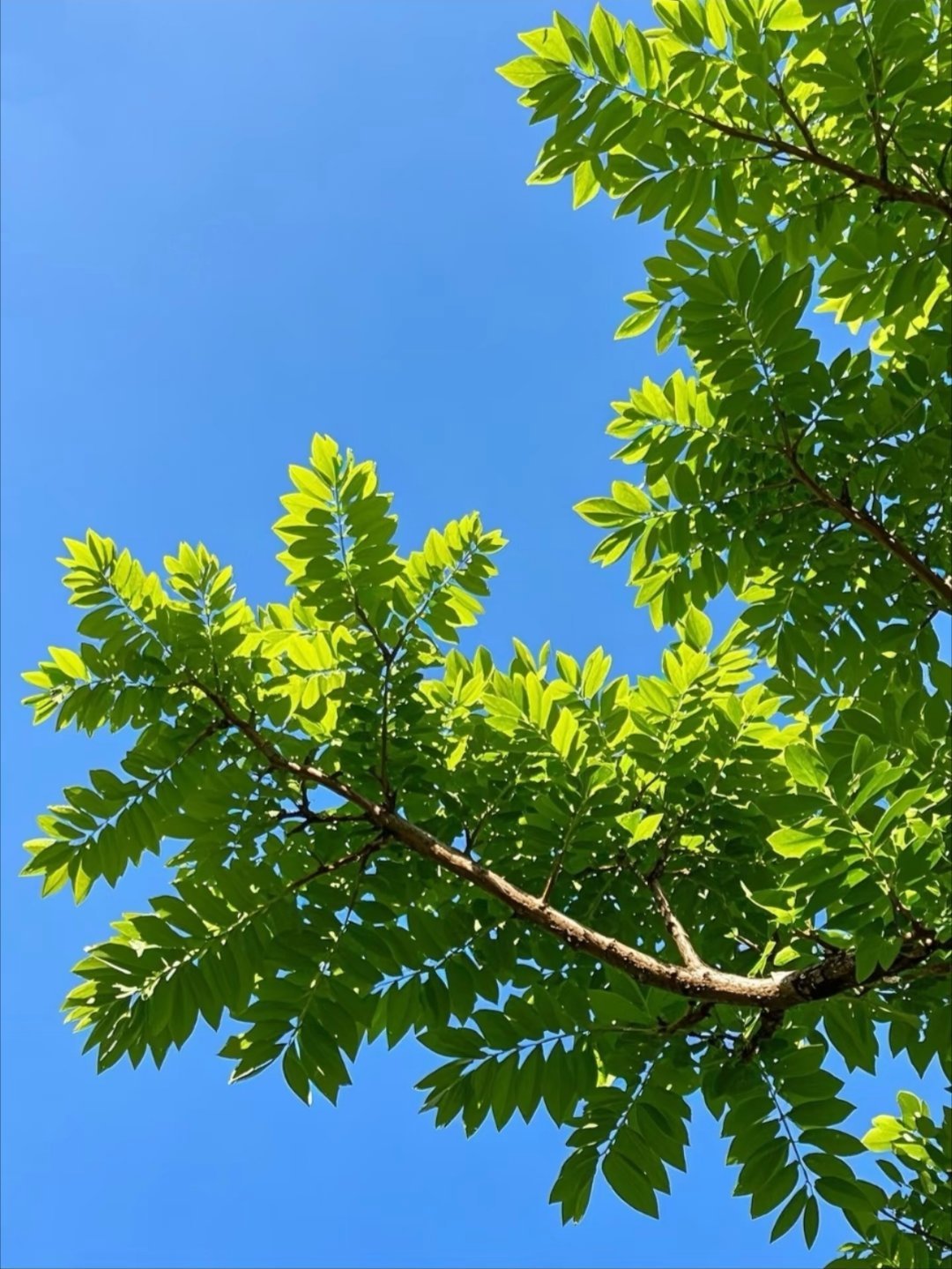 我的阅读蜕变史我的私人宝藏书单书评 生活是属于每个人自己的感受， 不属于任何别人