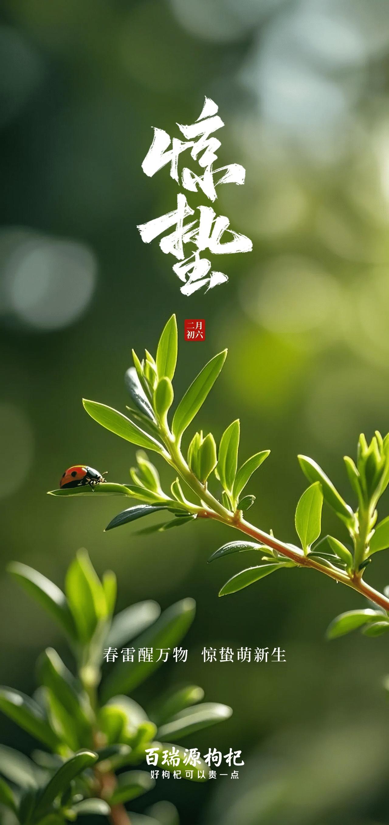 2026年惊蛰迎来双重吉兆。节气与天赦日同天而至。民间流传的吉祥说法印证着这一天