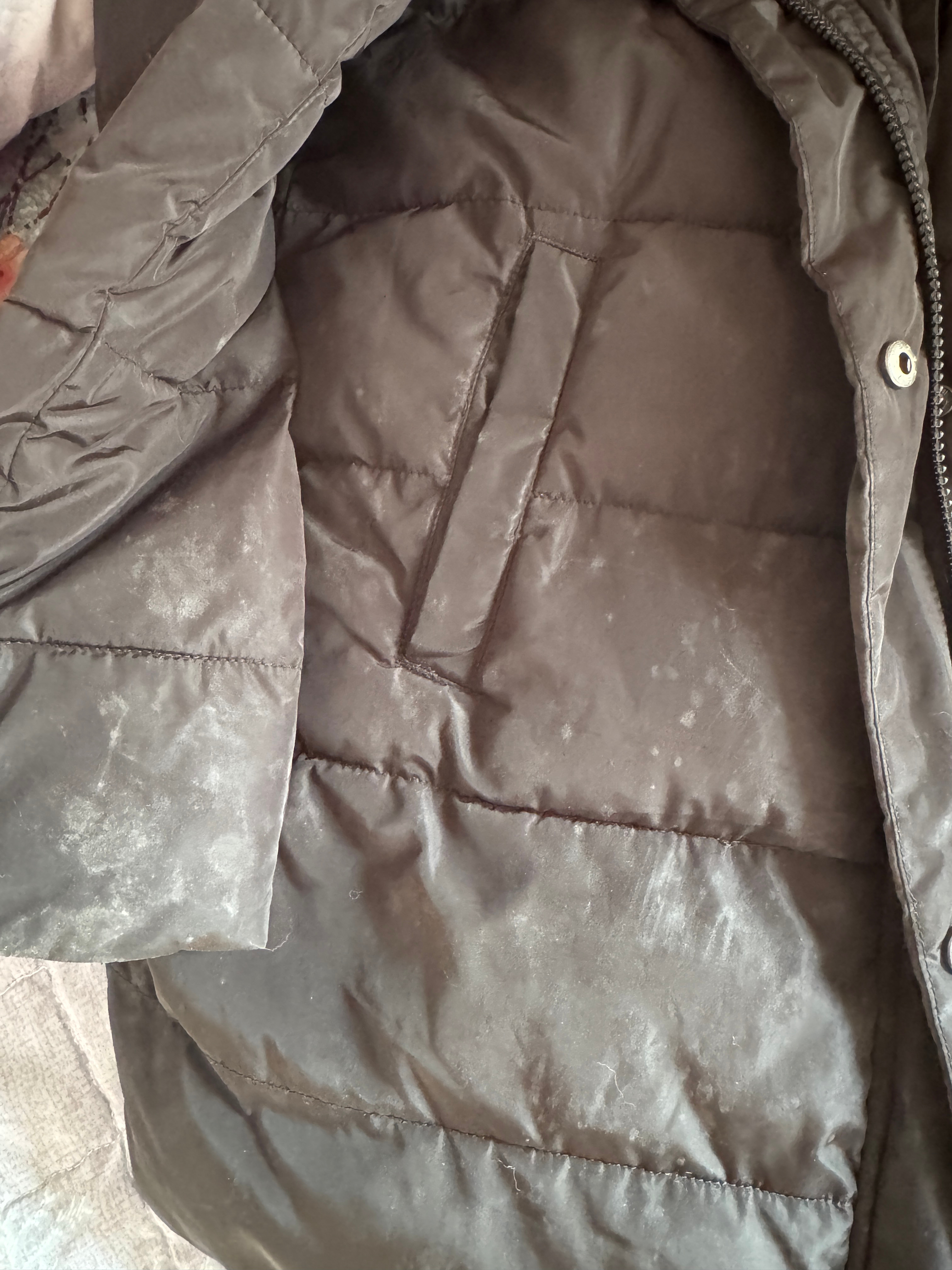 天塌了朋友们，我的羽绒服发霉了广东这个潮湿的天气真的很离谱… 