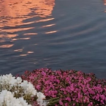 每日一善   每日一善   阳光信用 踮起脚会缩短爱的距离，这样会不稳定；弯下腰