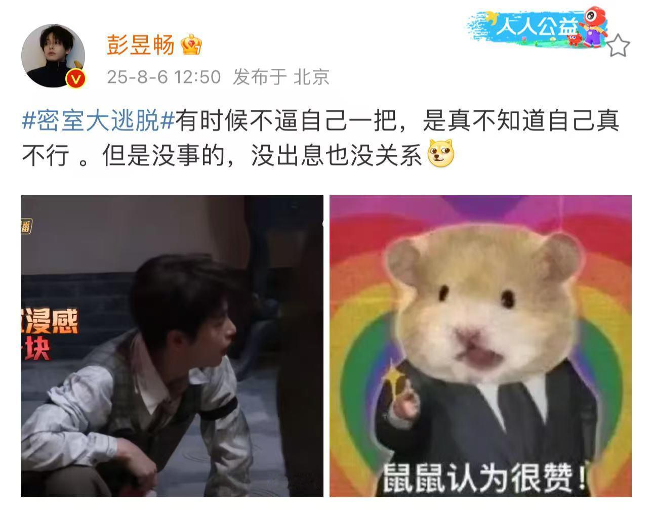 彭昱畅是真不知道自己真不行彭昱畅没出息也没关系彭昱畅不逼自己一把是真不知道自己不