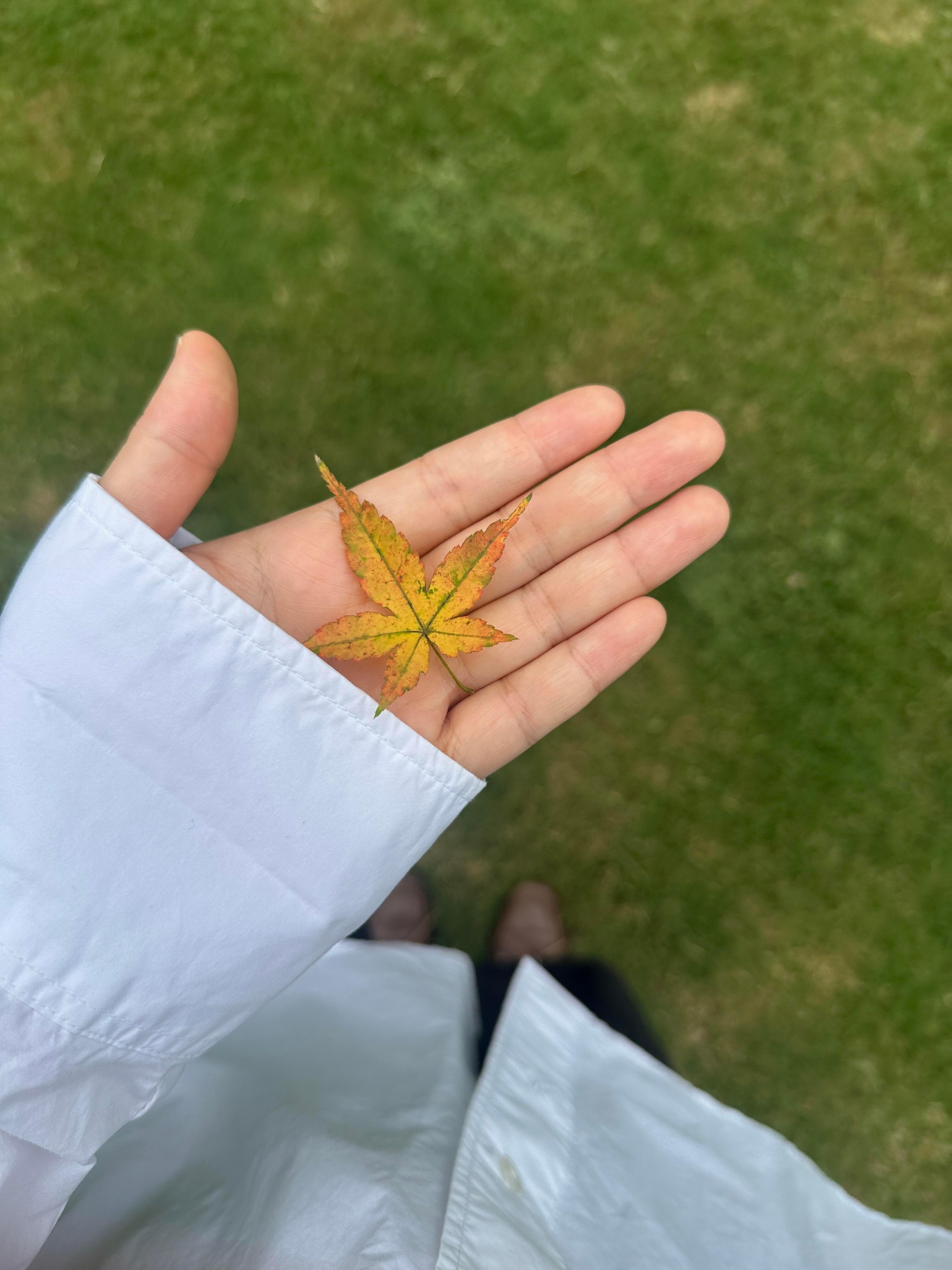 植物园真的好安静空气中充满着大自然的味道在一大早身体随着早上升起的太阳一起醒来 