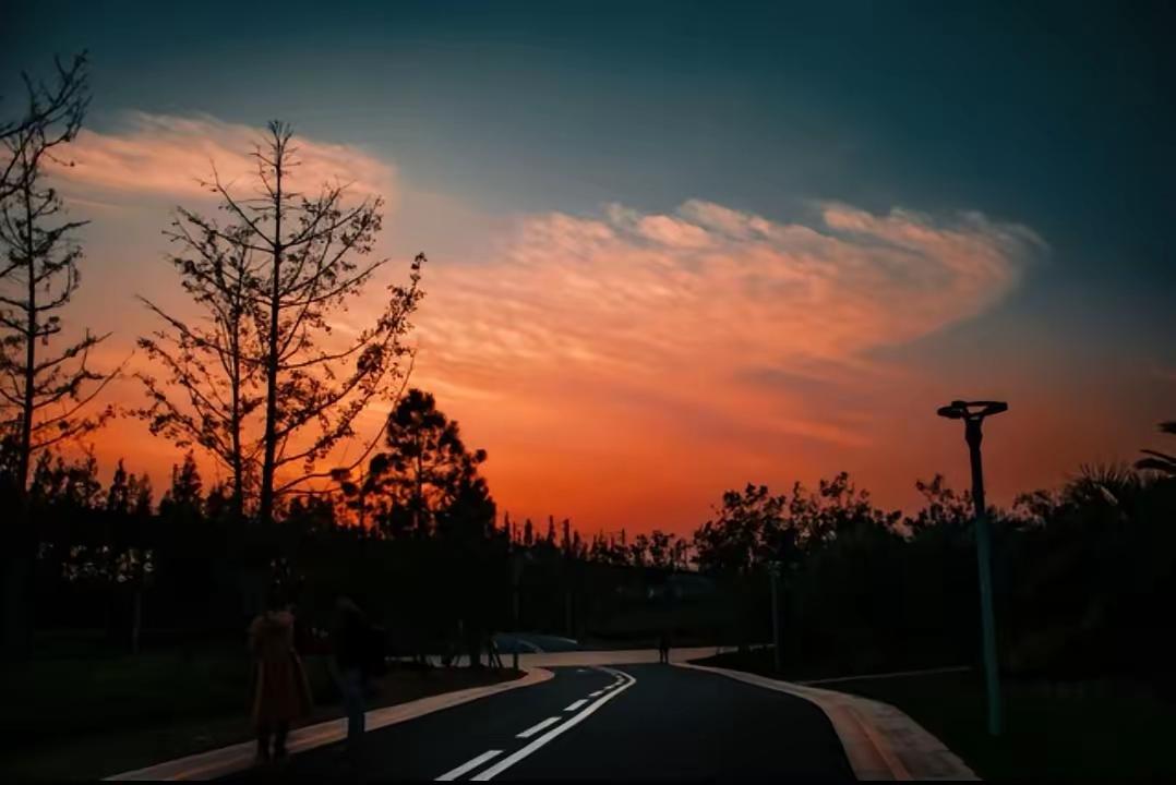 特别治愈的一段话：
“人生是一段旅程，走过的路，就是你编织的生活。我们无法预知以