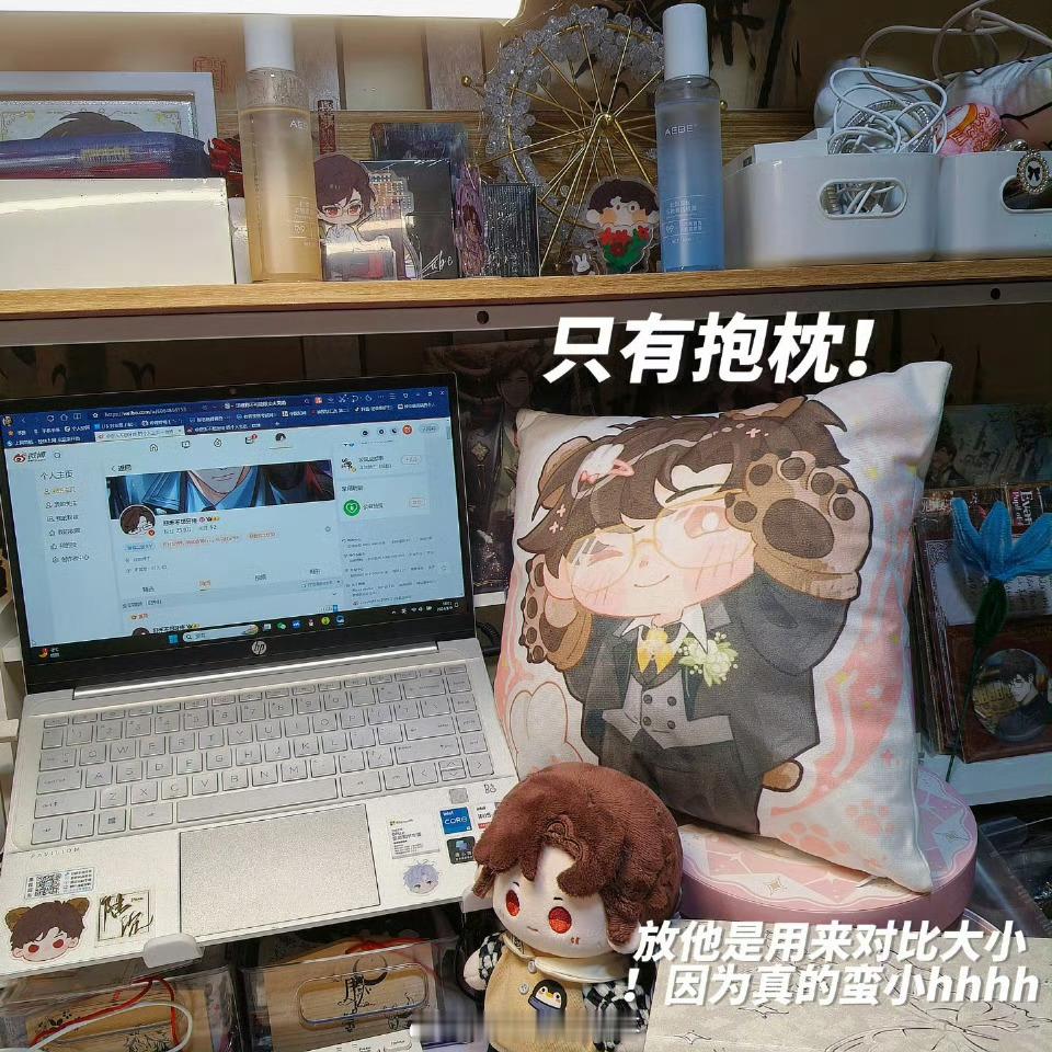 抓两位老婆各送一只35x35cm的萌萌小抱枕，最近在报账实在太忙了冷落了老婆萌果