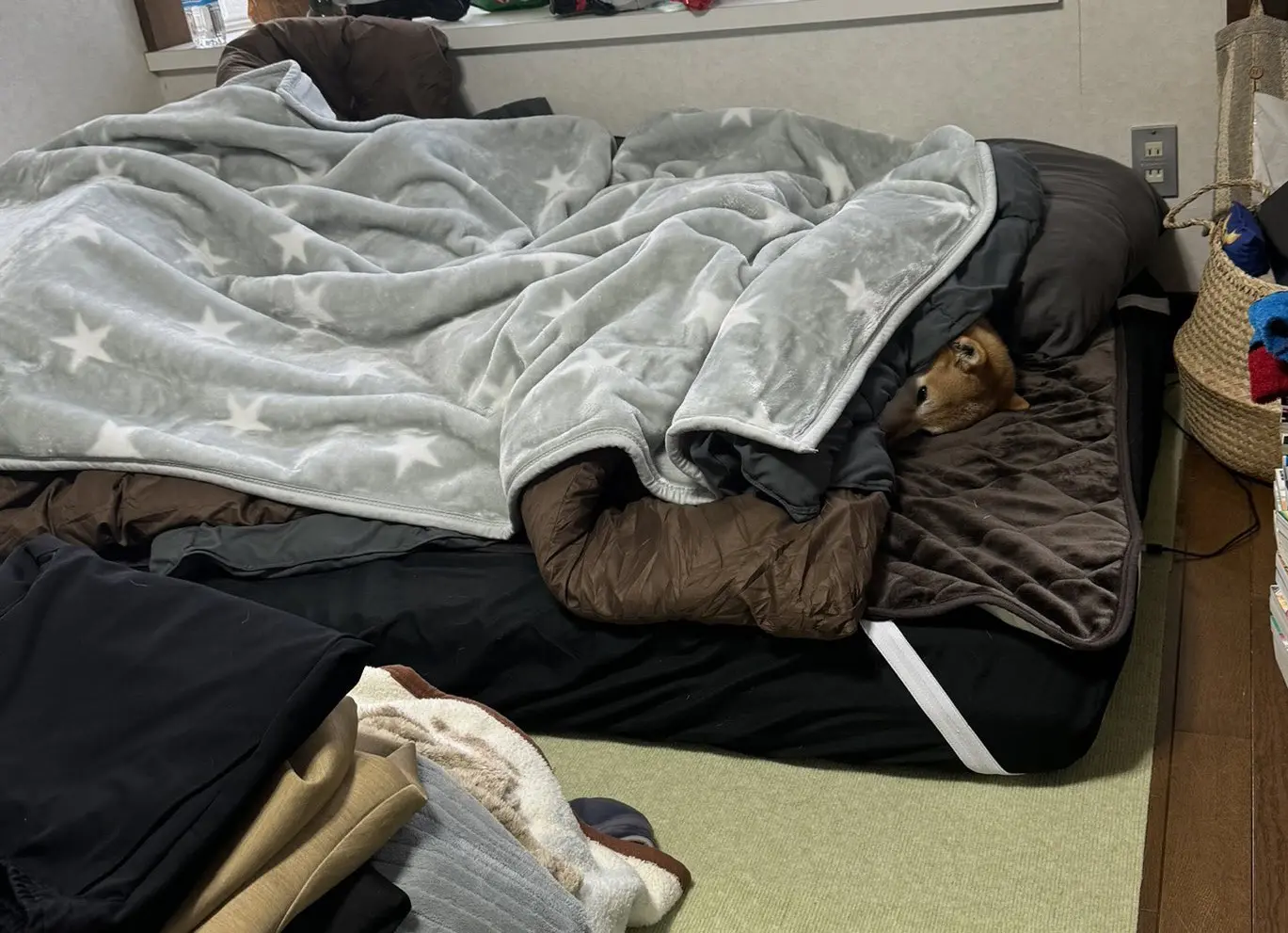 天气冷了，宝宝在家裹好小被纸