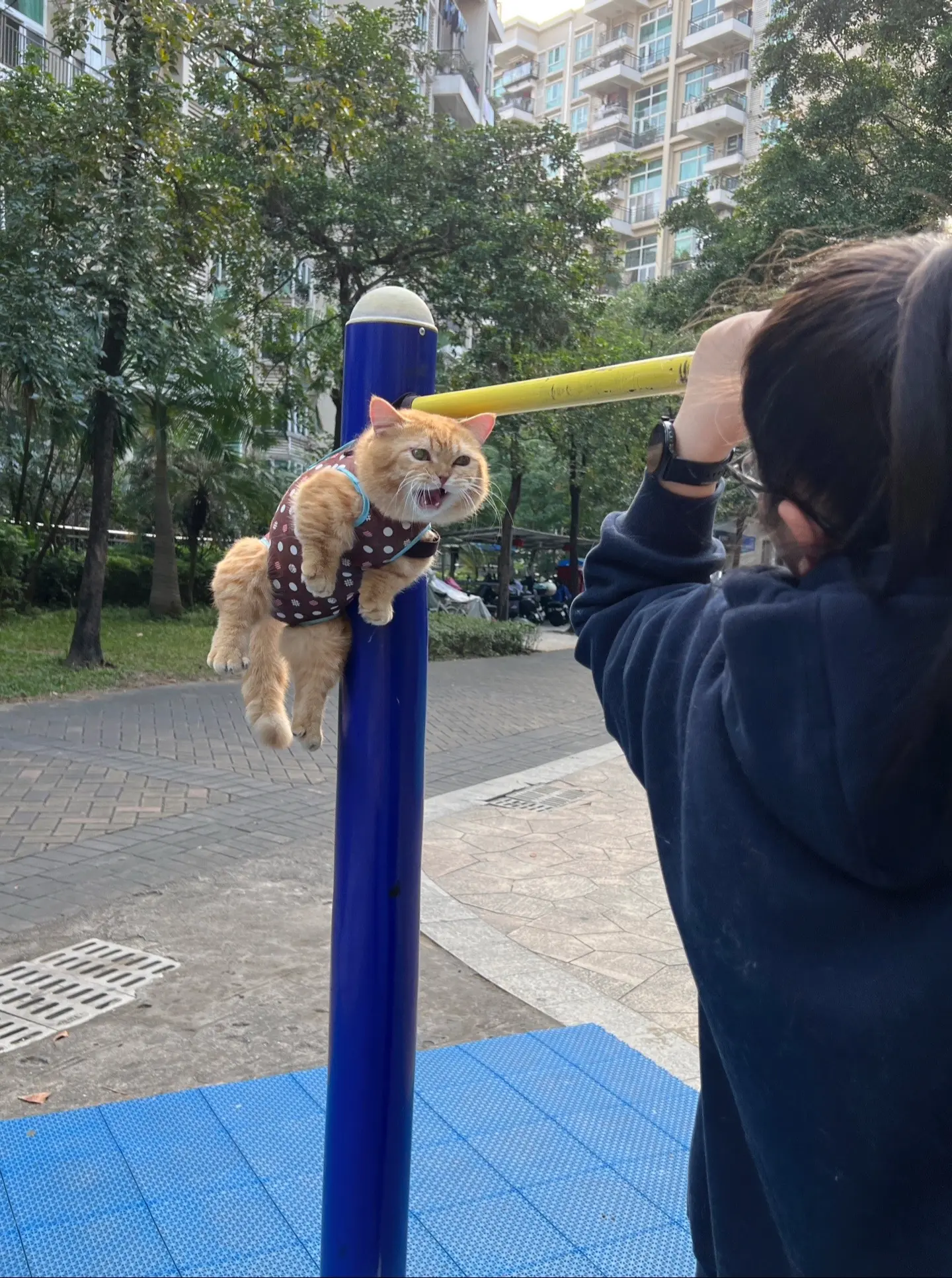 第一次上私教课就被骂了。教练还亲自示范了引体向上，严师出高徒！