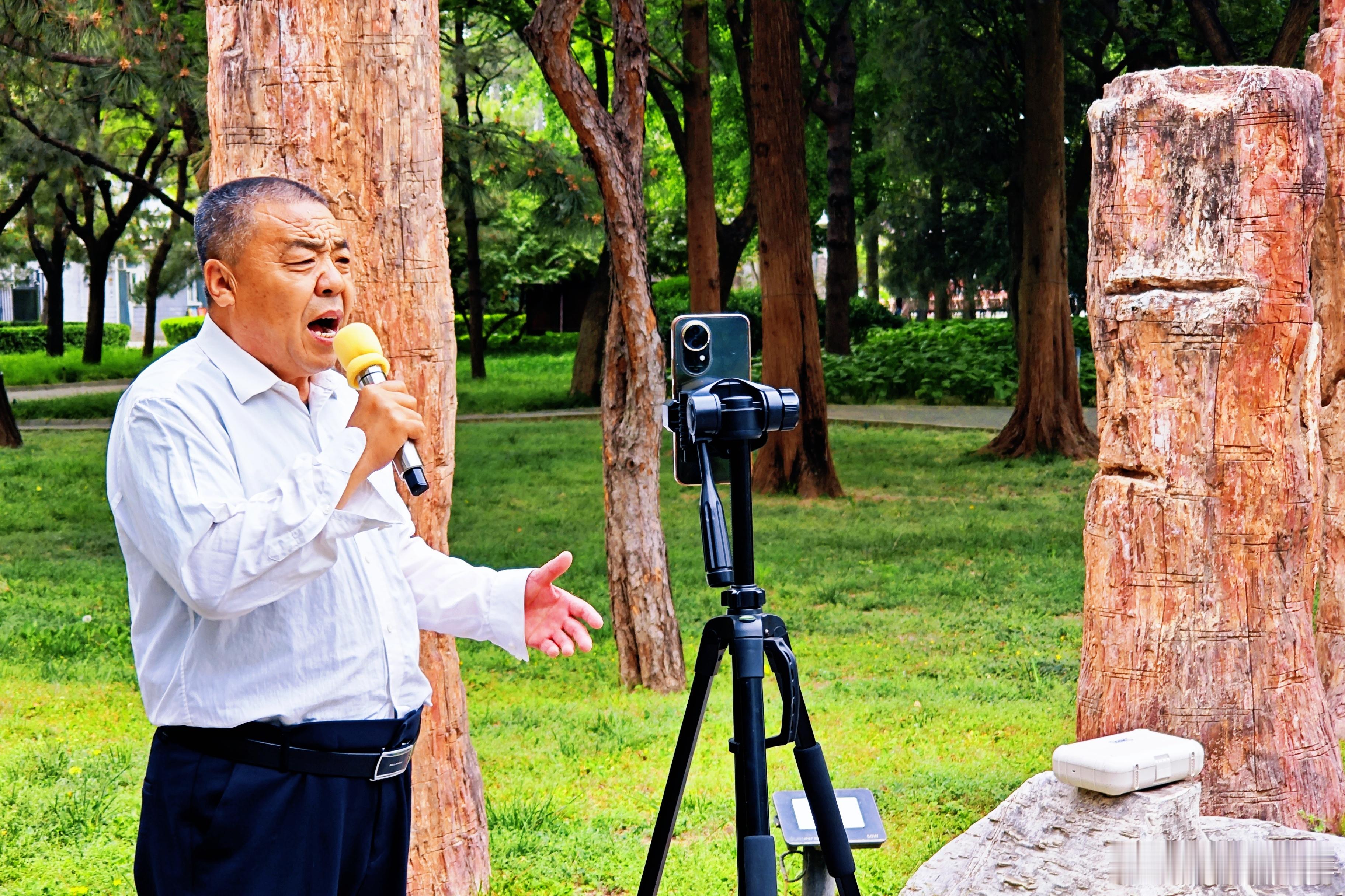 【卧龙公园】顺义卧龙公园是城区西北的综合性公园，1986年始建，2004年改造，