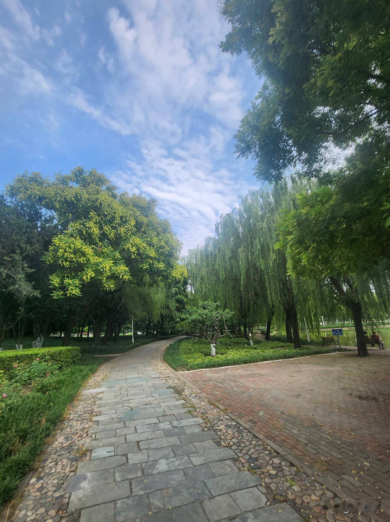 平日里被烈日烤得发烫的柏油路，此刻也恢复了些许清凉，走在上面格外惬意。公园里，老