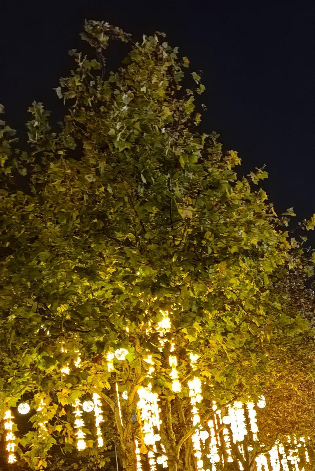 今天好冷，但是外面还是车多人多，交警和消防员都在巡逻，蛮辛苦的。 ​​​