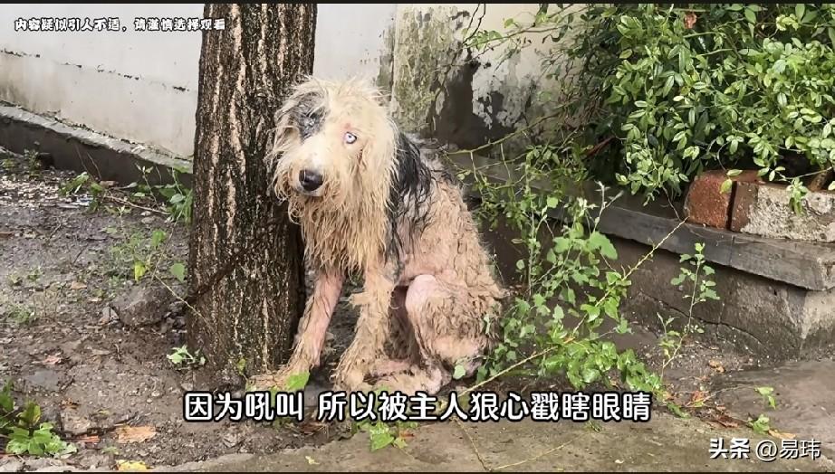 泪目了！这天一位小哥哥去散步，他走到一个城中村的时候，下起了小雨，他急忙找地方躲