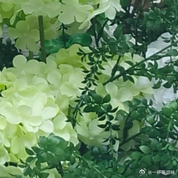 阳光信用每日‬一善‎阳光‎信用  从今日起，看书，写字，弹琴，画画。给每一个日子