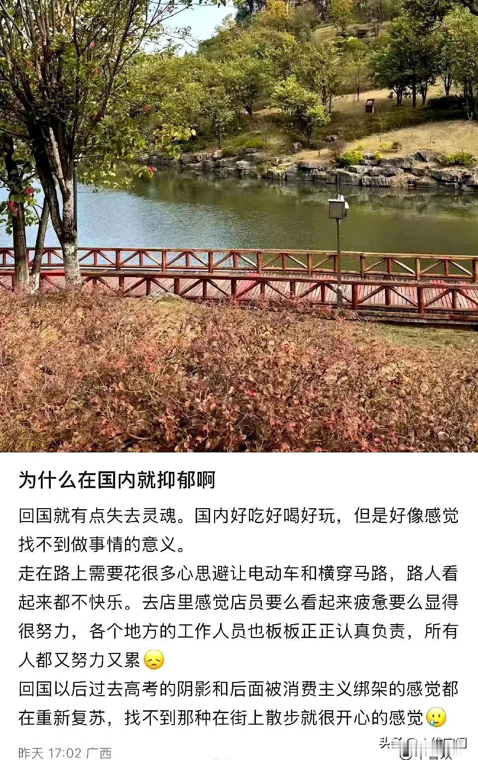有些人就是吃饱撑着，从国外回来的某些群体称在国内就很抑郁，失去灵魂了，虽然国内好