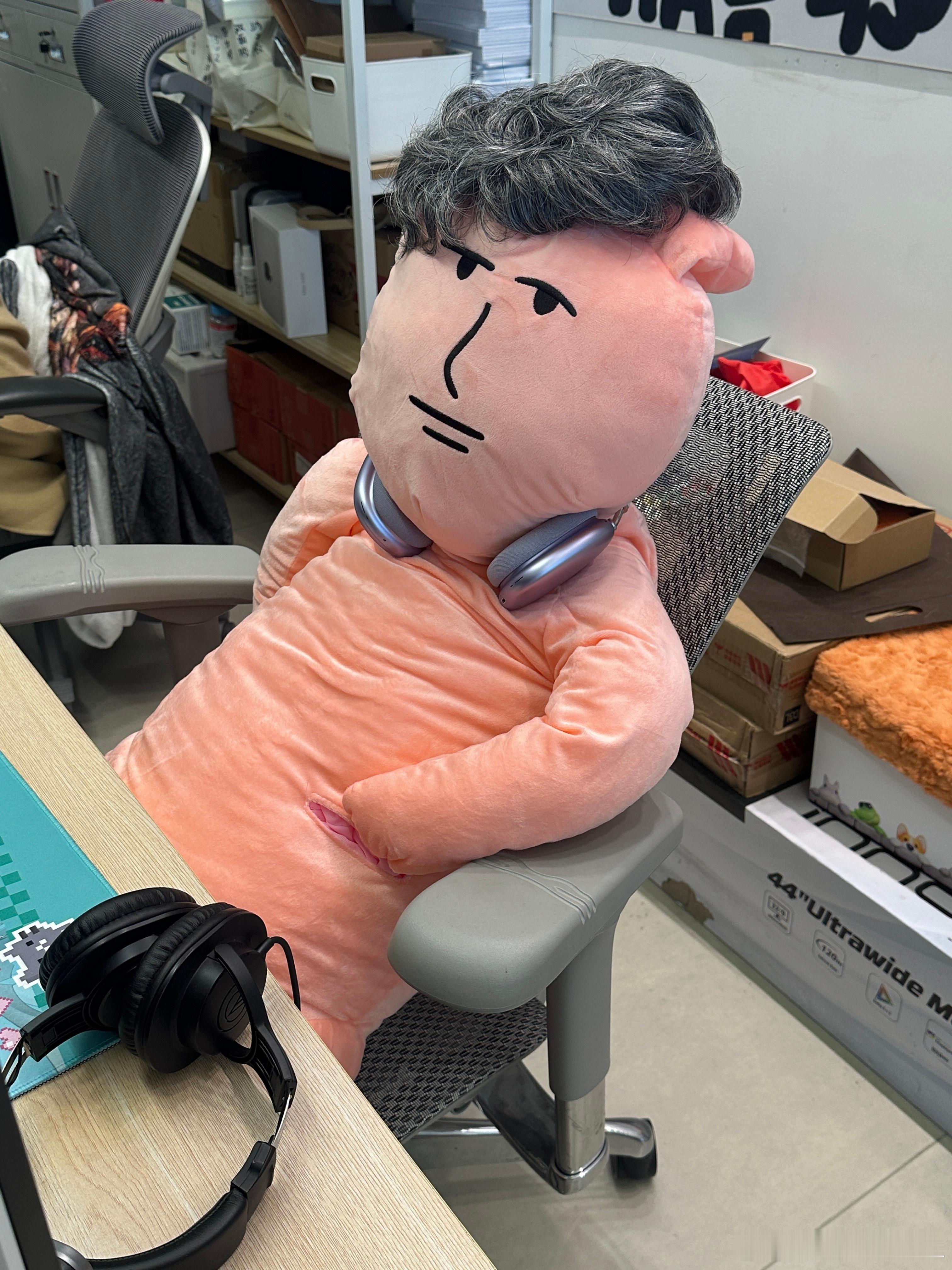 新来了一个非人类的小伙伴（谁能看出是只兔子？？ 