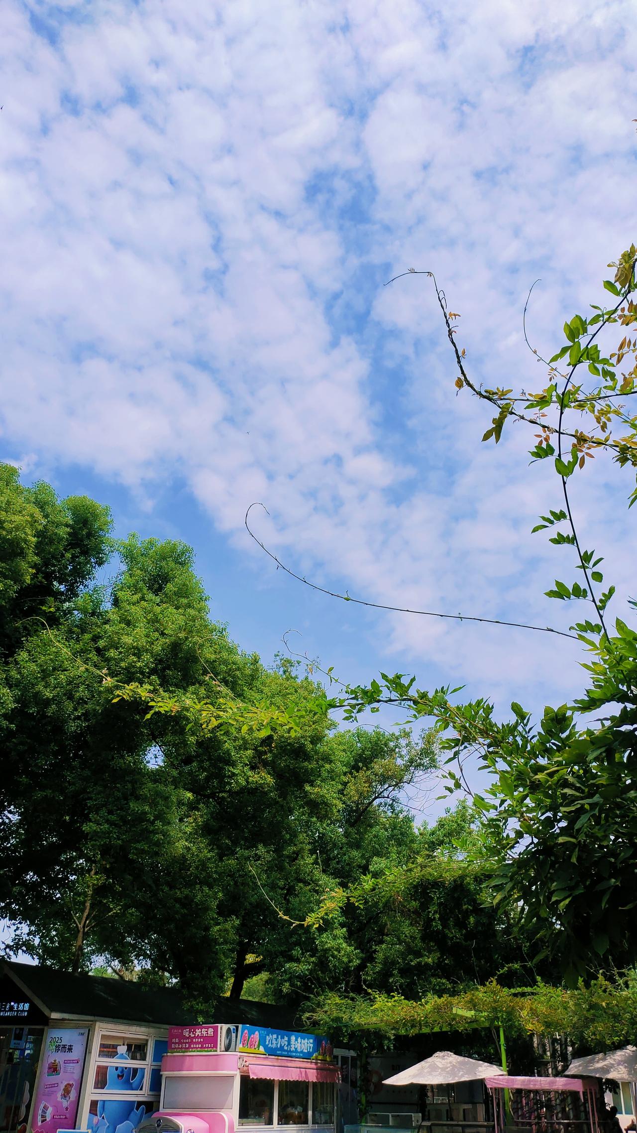 体检时差点丢了性命，需不需每年体检？
人到中年了，我还从来没有单独的去医院做过一