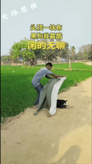 为了温饱，
为了两根骨头，
受遍了所有的屈辱！