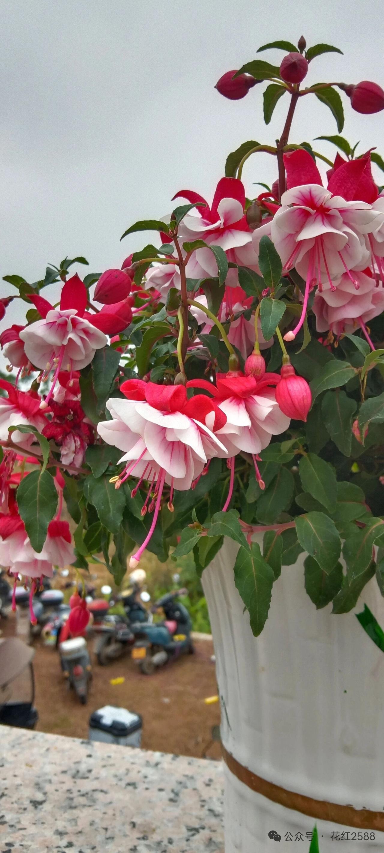 细节见人品，大姑子真棒