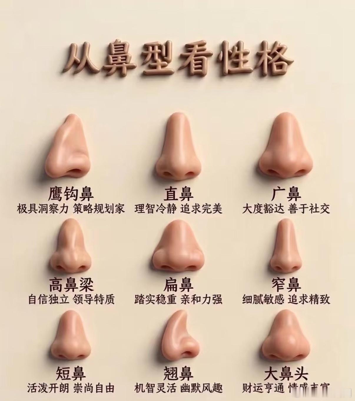 看看你是什么鼻相。从鼻型看性格