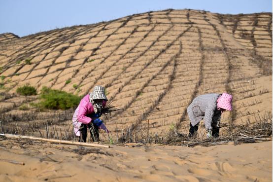 为什么现在要大规模的治理塔克拉玛干大沙漠，一个33万平方公里区域。因为以色列可以