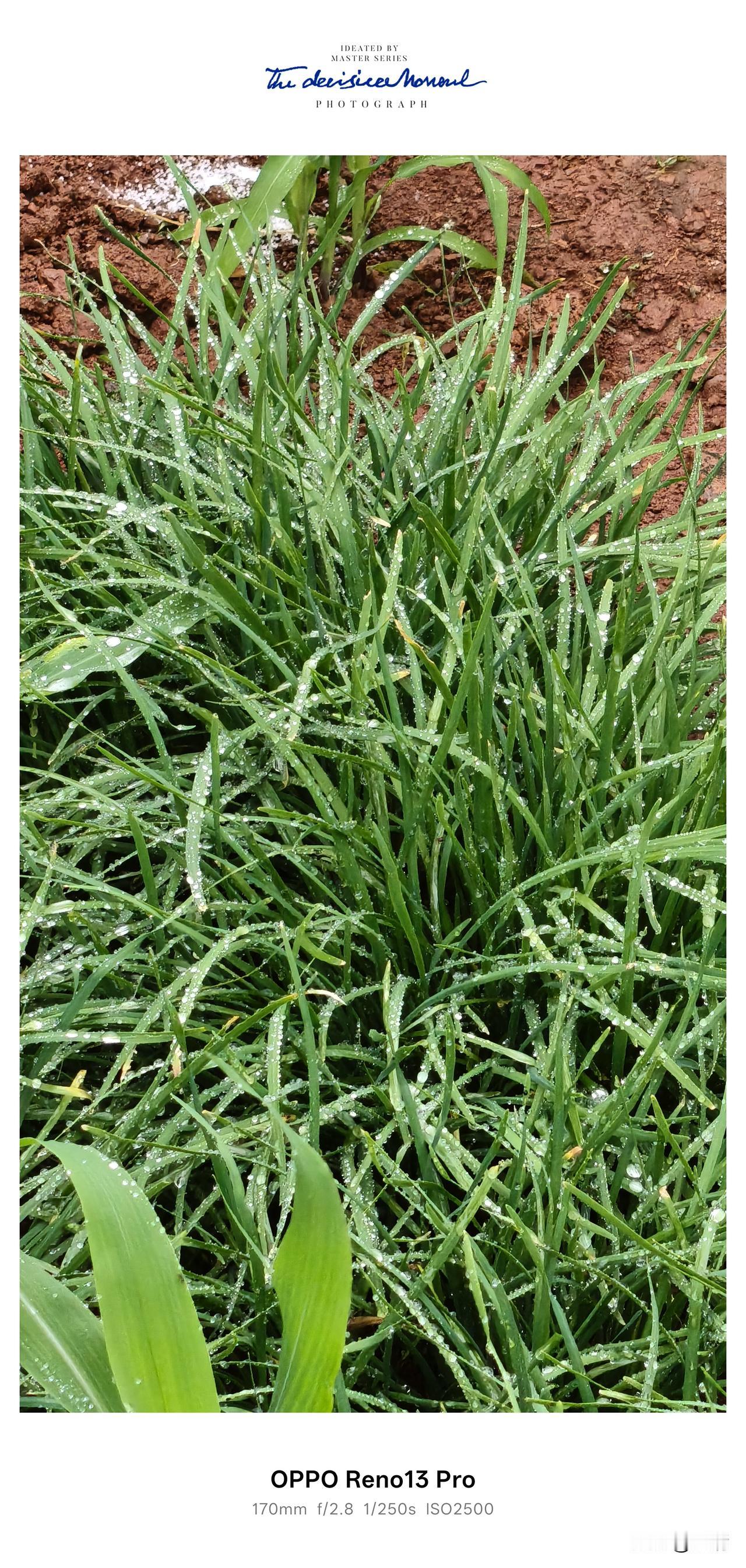 今年春天最大的心愿，哪里也不去，就安安稳稳守在老家，多住些日子。
 
昨夜一场春