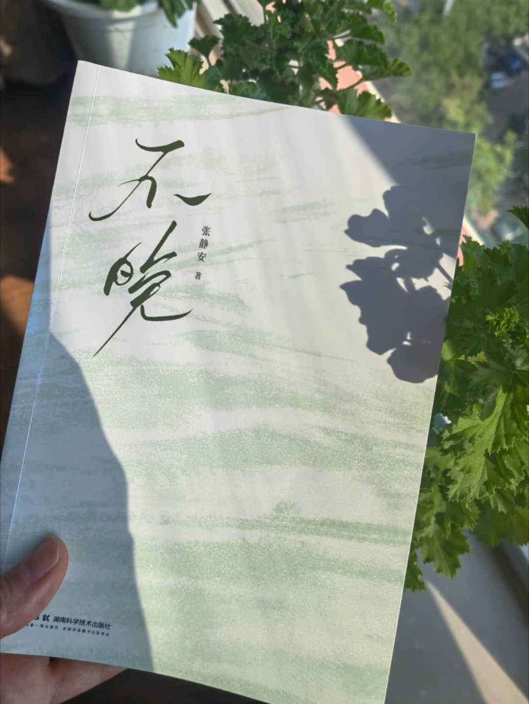 一眼沦陷，怎么会有这么温暖的书啊！！ 