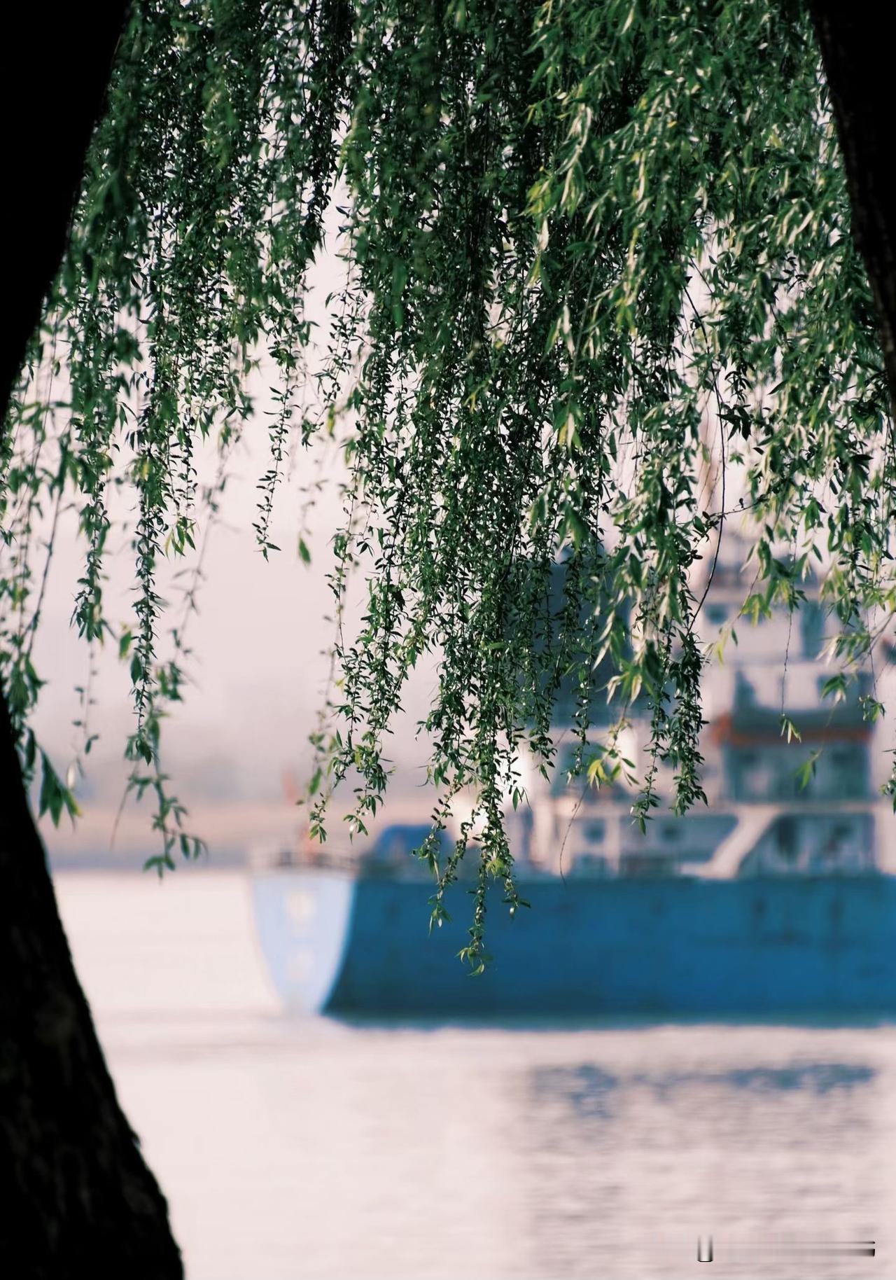 那些说什么租房，以后没房子，会很惨的，都是什么奇葩？

第一，现在谁还没有一套房