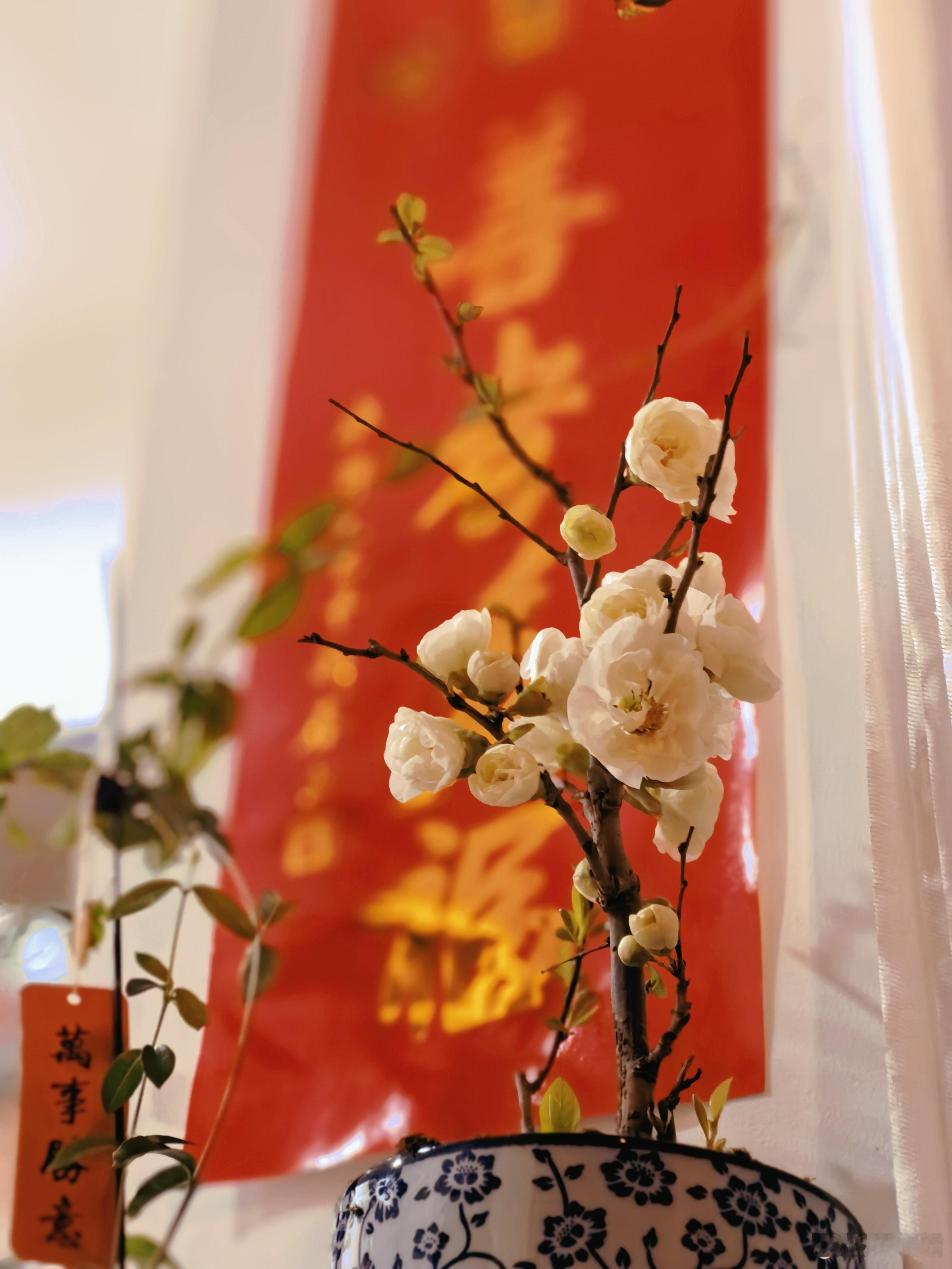 只休息一天也要好好安排呀 慢生活 最近换了一款运动手表，是想着可以游泳戴，后来发