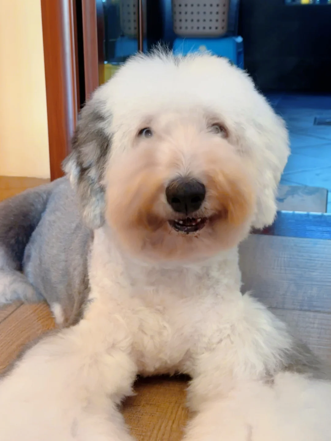 古牧：姨姨们，我今天又剪头了