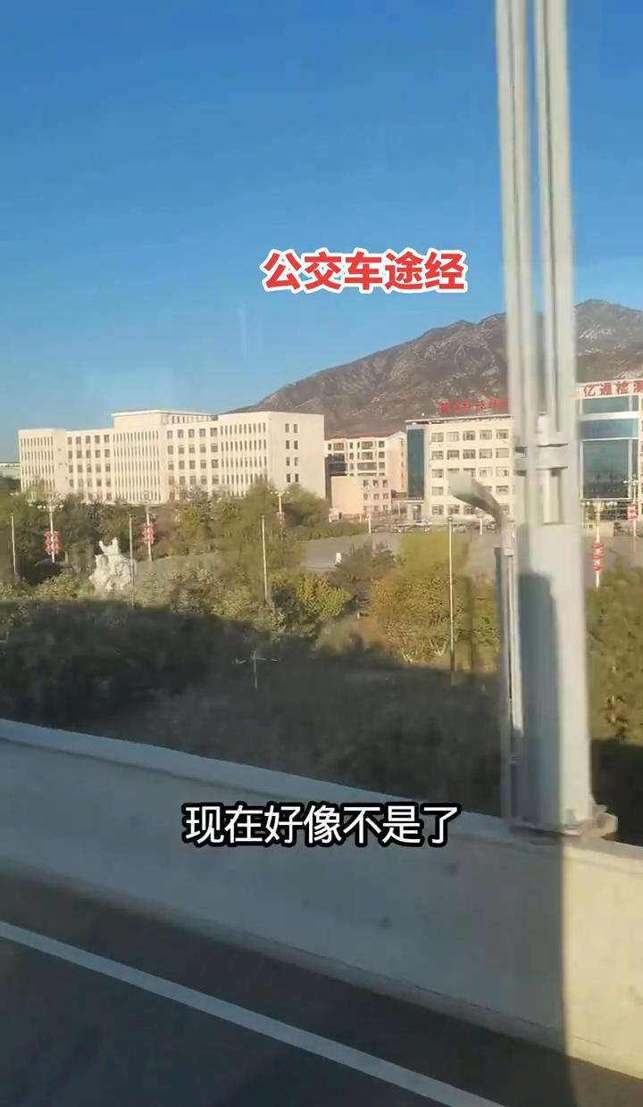 那楼还在那儿，灰扑扑的，十年没动过。
管委会搬了，企业没来，空壳子挂着牌，像被