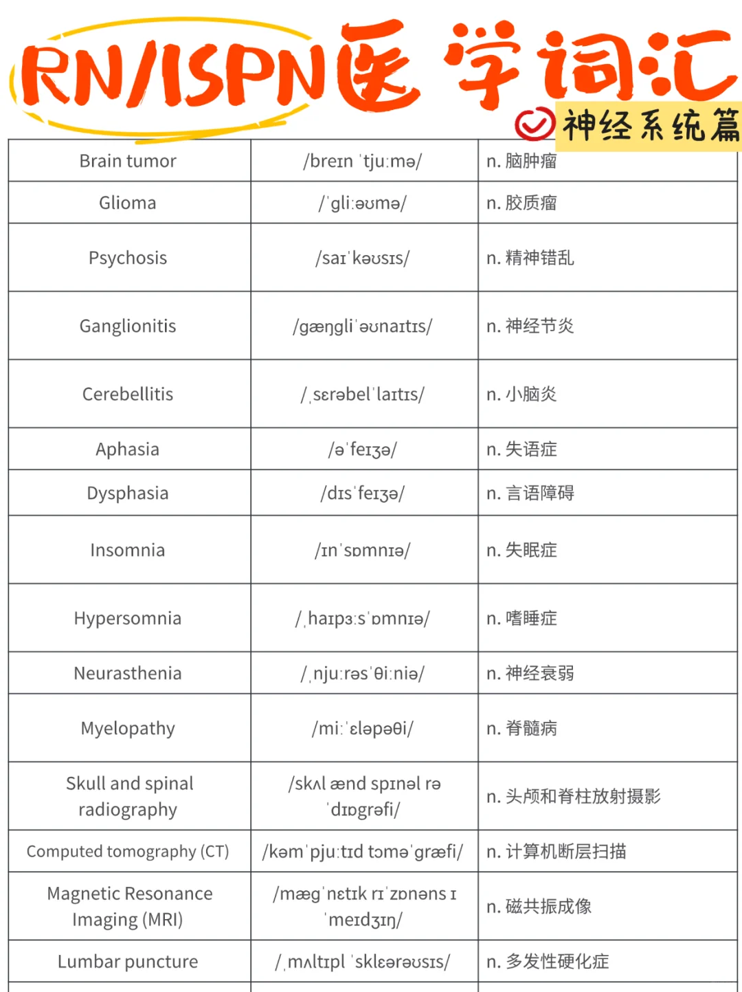 备考RN/神经系统！！学！！单词