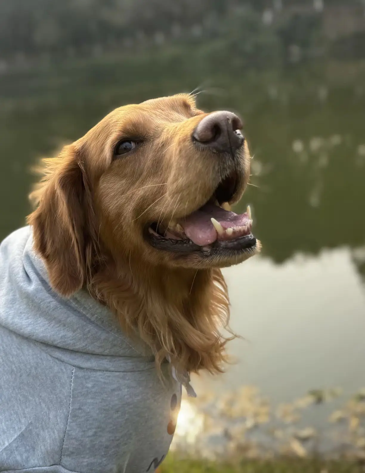 接受了离别，低估了思念！你离开我后，每天我都半夜才敢回家！一直不敢一个...