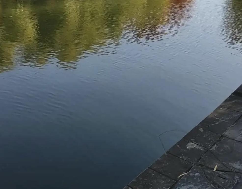 女大学生参加学生组织的游戏，却不幸掉入学校的湖中不幸溺亡，家属却认为学校应该为此