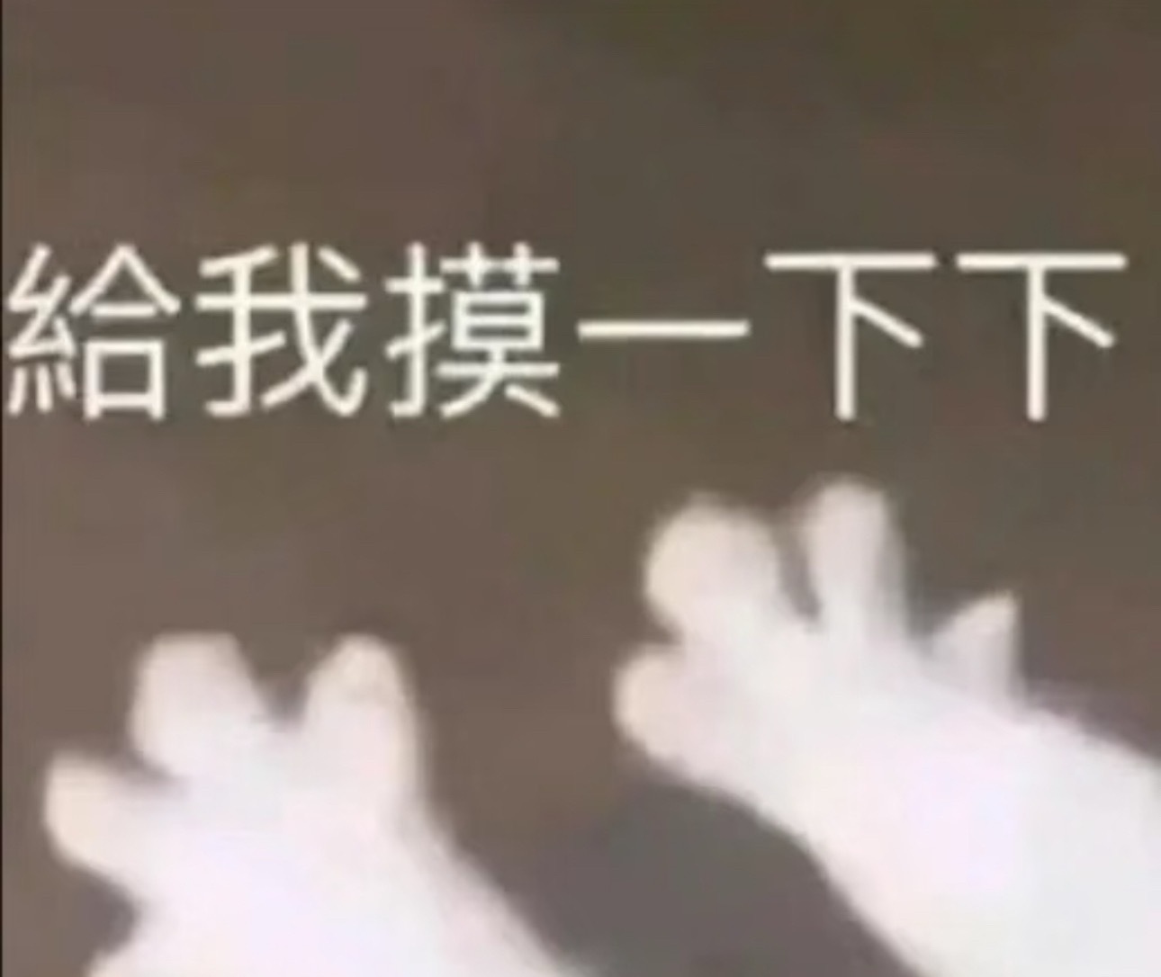 不是 这这这，等我买回来，我也这样[流鼻血][流鼻血][流鼻血] ​​​
