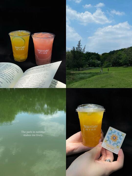 深圳 | 在公园散步感受初夏✩⋆⸜🍃