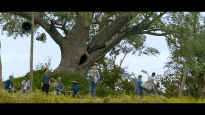 《青铜葵花》电影太戳人！课本里的画面全有了，小时候脑补的场景成真，质朴温暖的感动