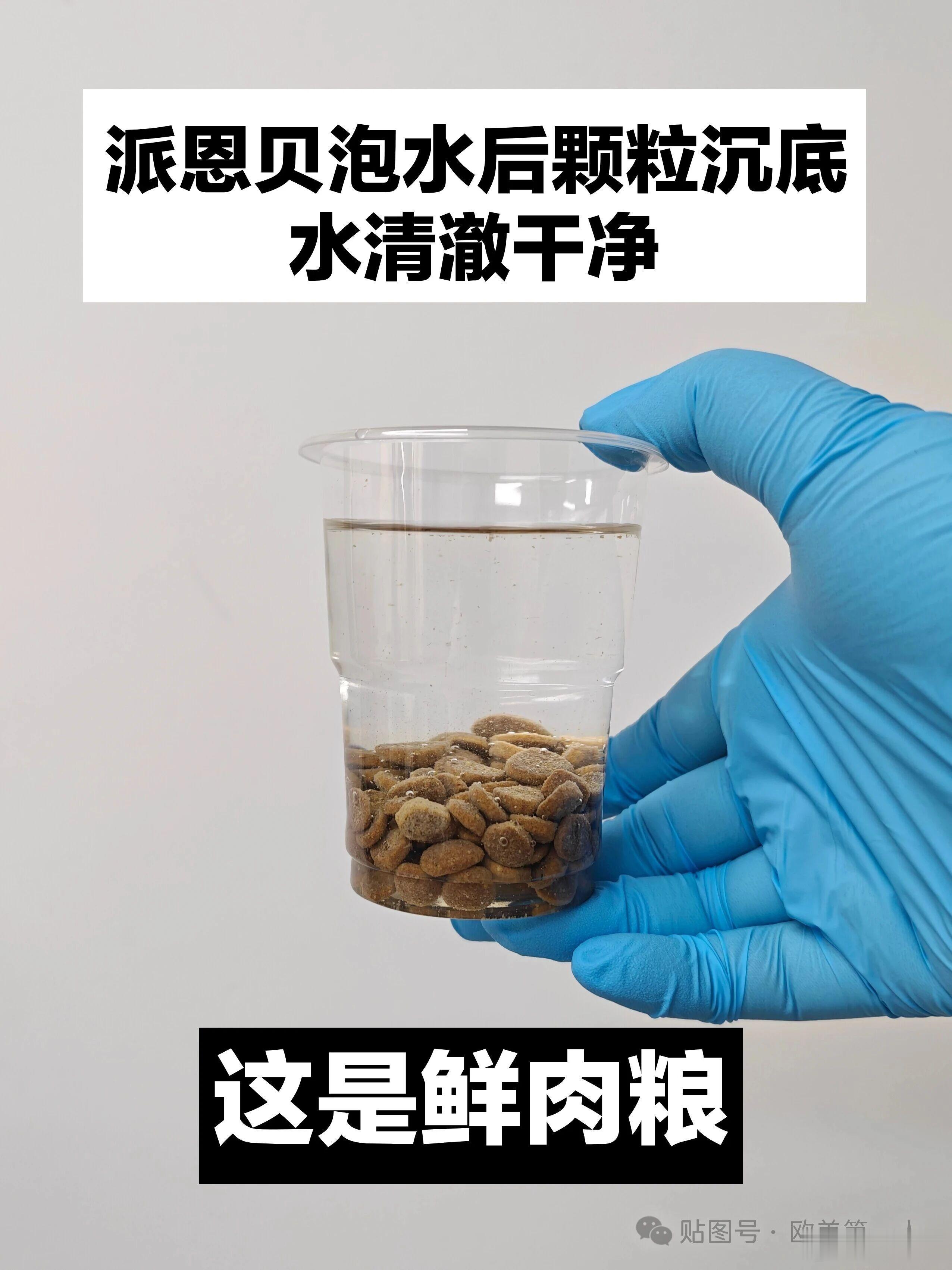 分享图片 