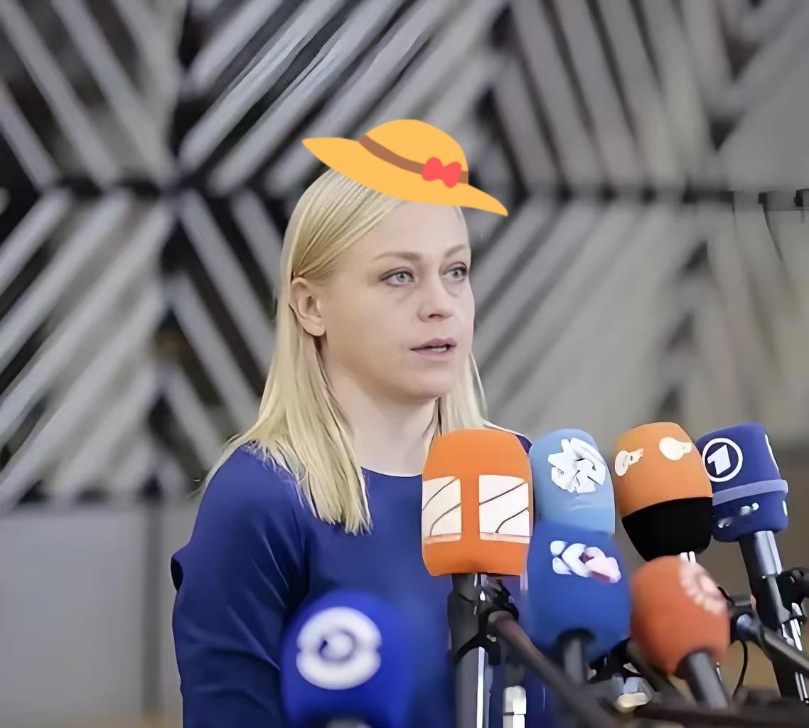 美国又在全世界面前耍横，结果被盟友当众“打脸”了！芬兰外长瓦尔托宁8号火力全开，