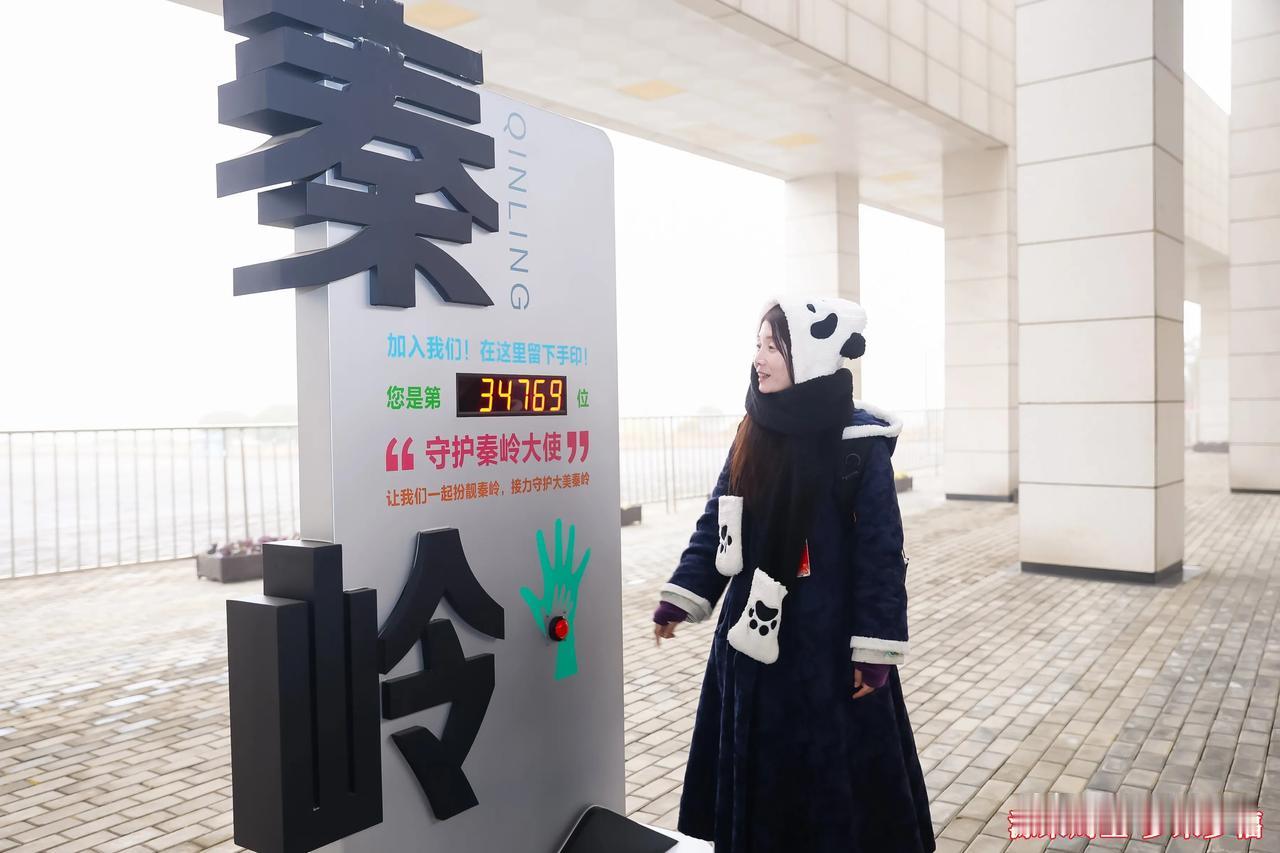 今天春暖花开旅游