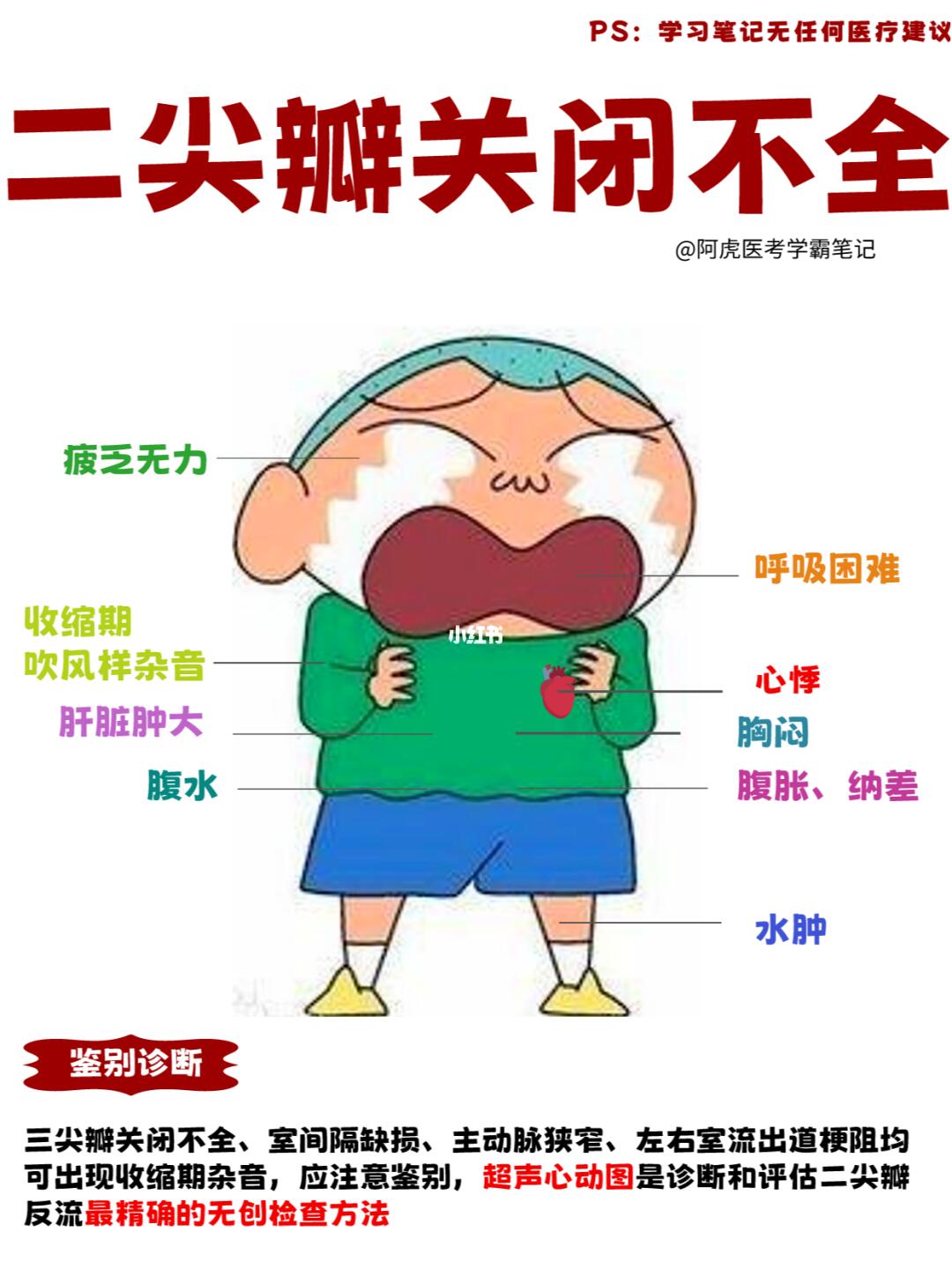医学生笔记📒：当胜男二尖瓣关闭不全👆